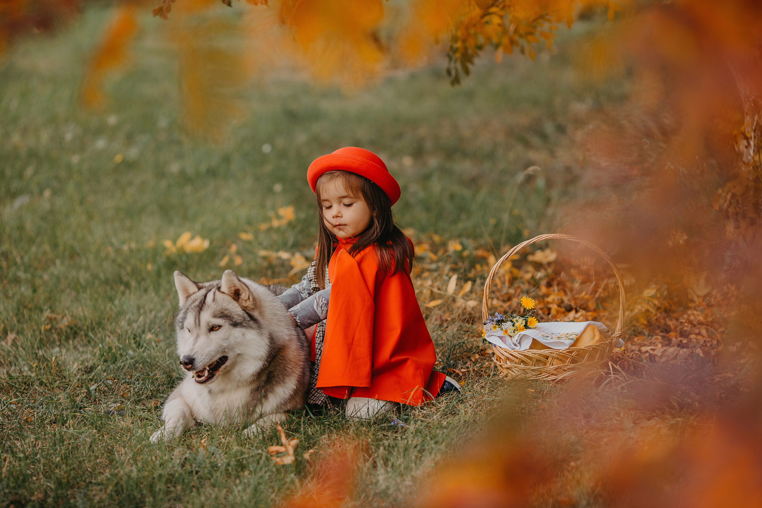Красная шапочка. Свадебный, семейный и детский фотограф Набережные Челны