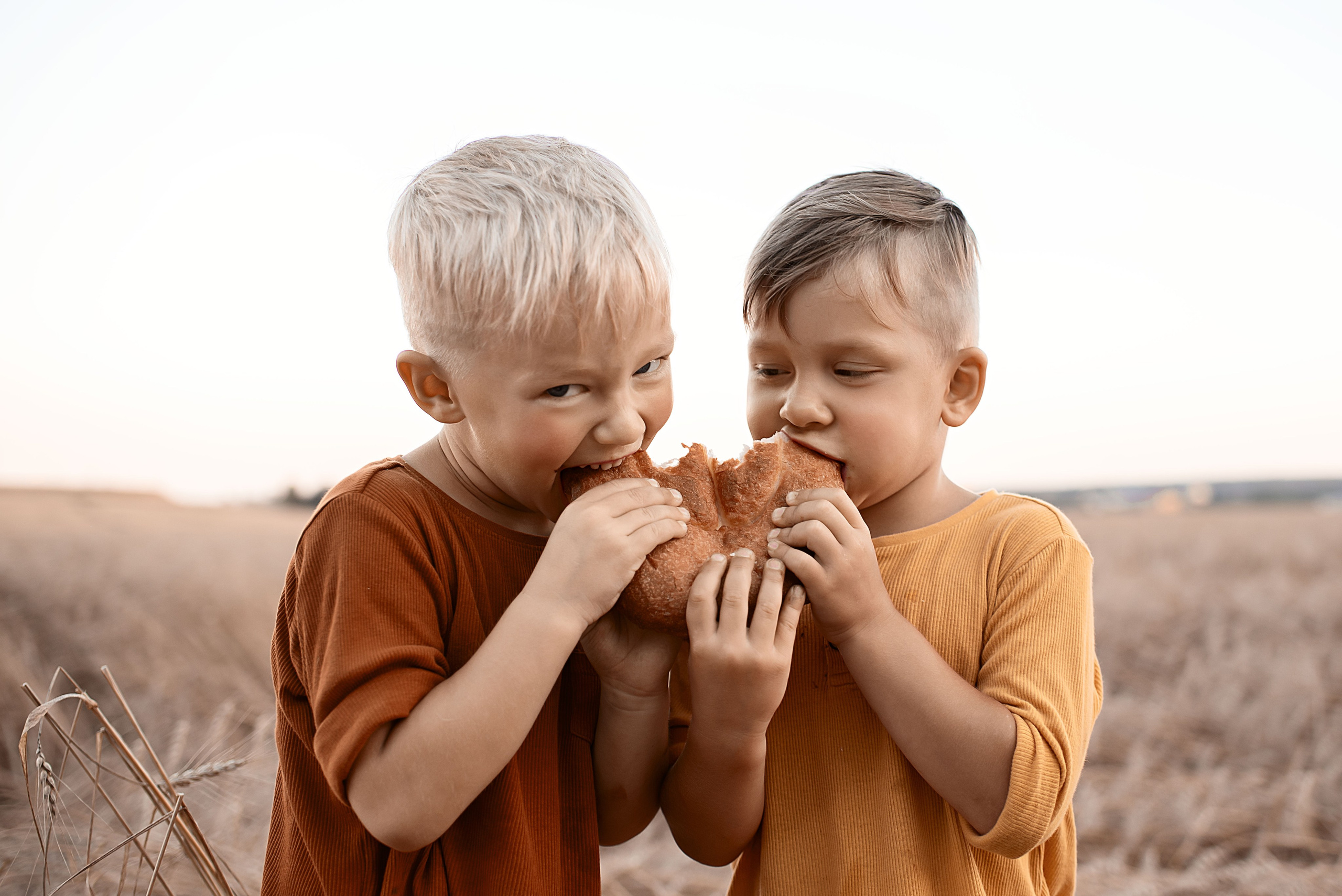 Лето в поле. Детский и семейный фотограф в Москве Олеся Рослякова