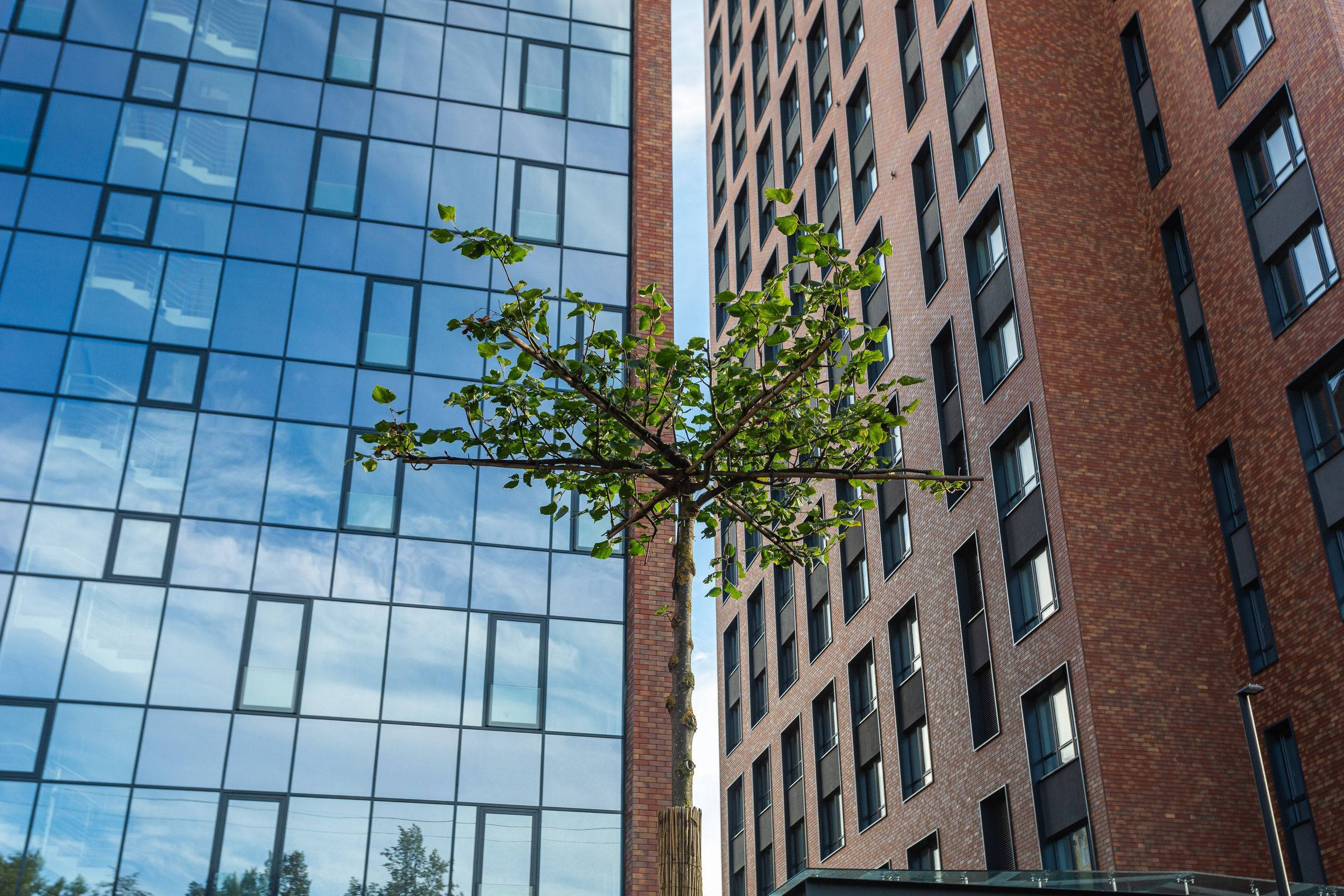 Жилой комплекс Первомайская 60. Фотограф Алексей Зарецкий