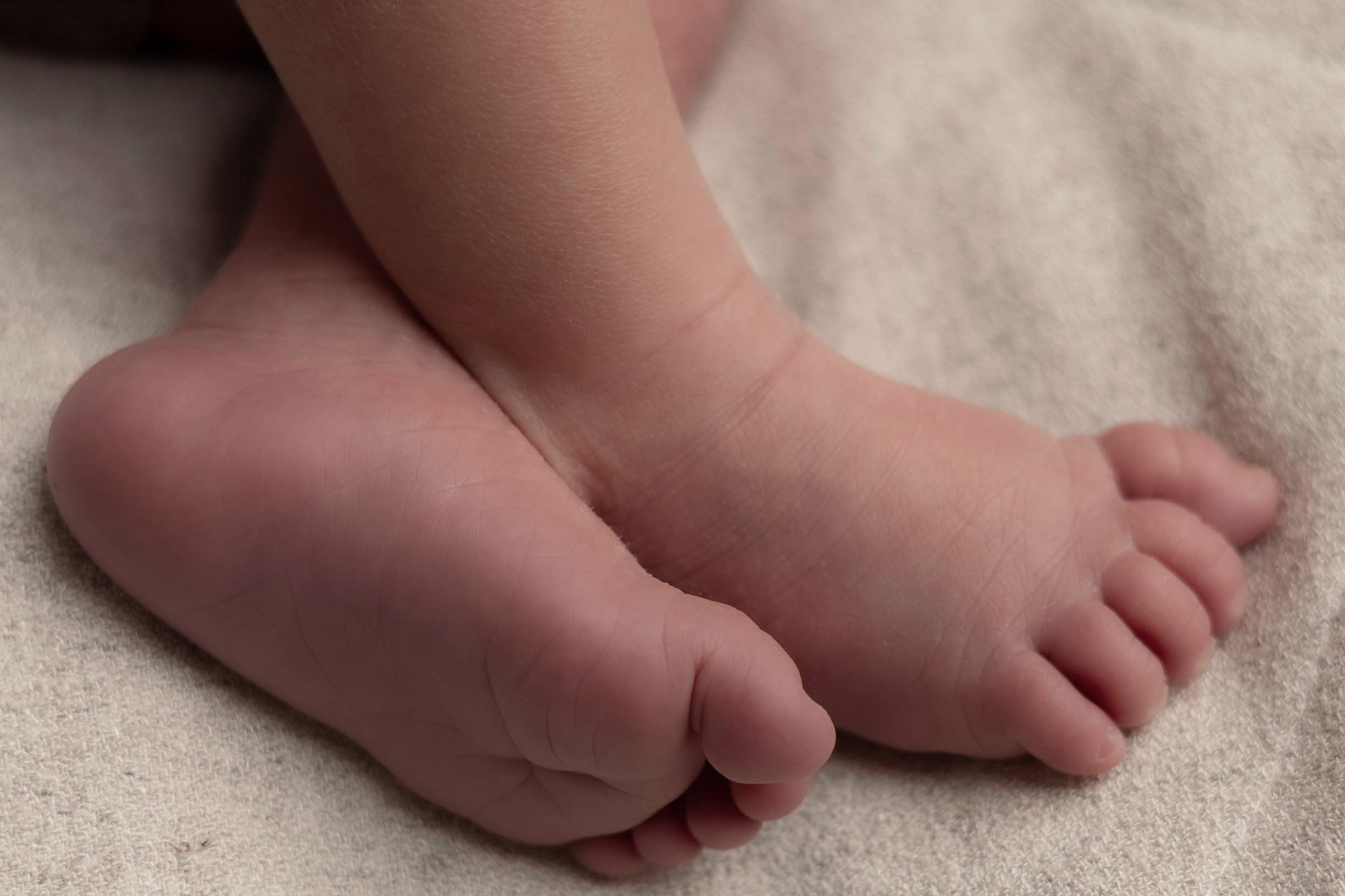 Семейный и детский фотограф в Санкт-Петербурге, Мурино, Всеволожске Тропина Анна