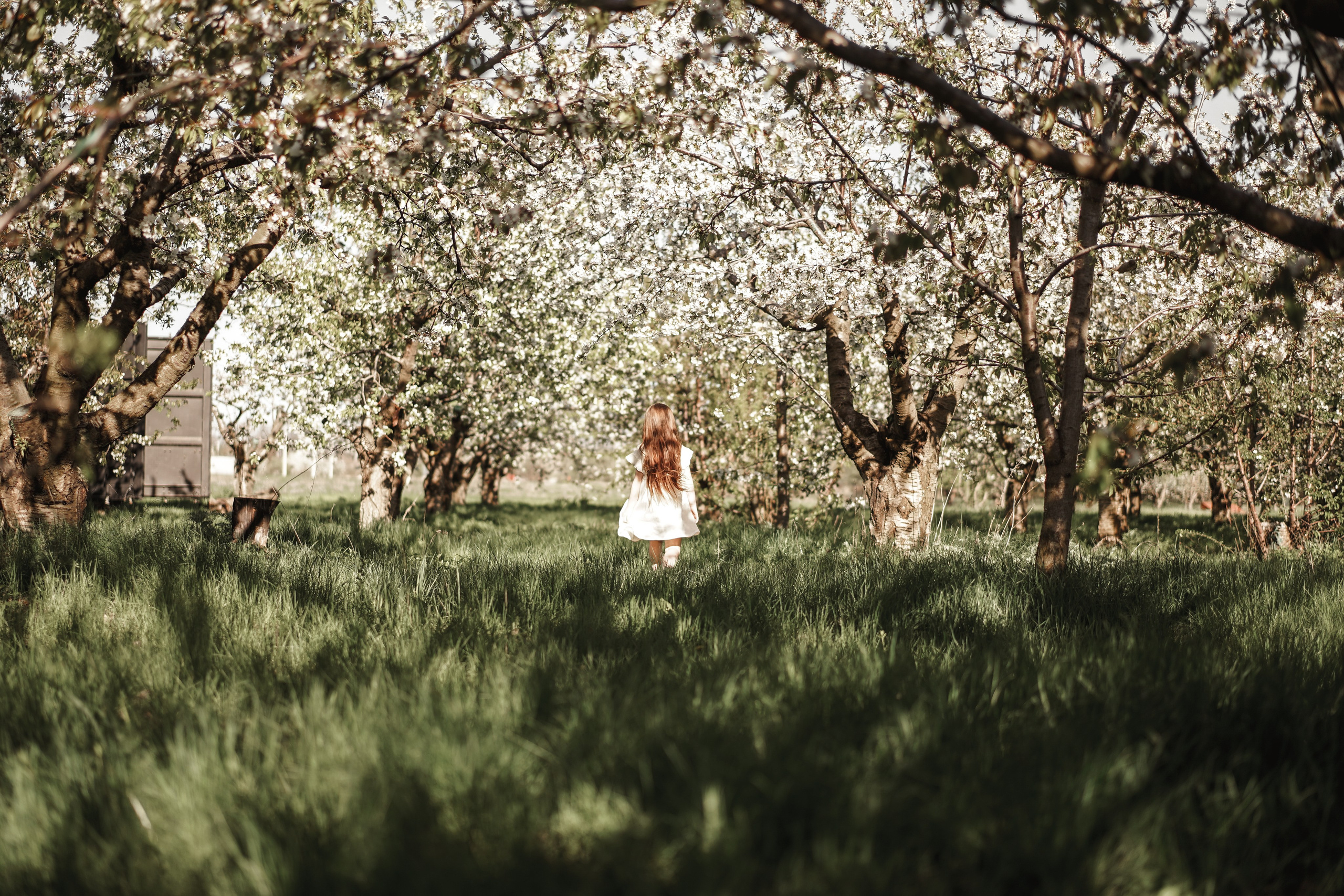 Семейная фотосессия на цветущих садах. Свадебный фотограф в Ростове-на-Дону. Таинство Крещения и Венчания, семейные фотосессии. Алёна Чёботова