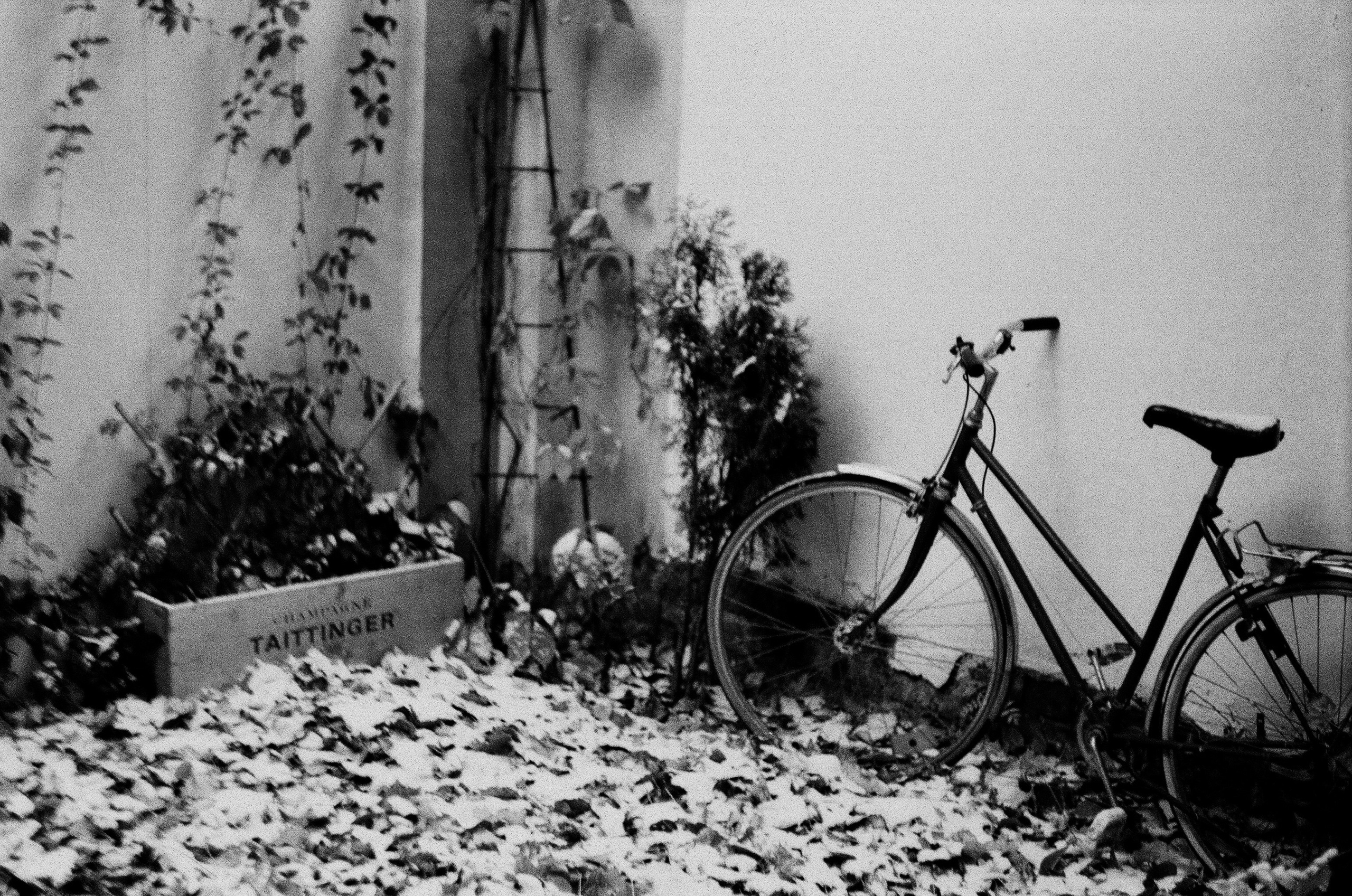 Стрит. Фотограф — Маслеников Константин