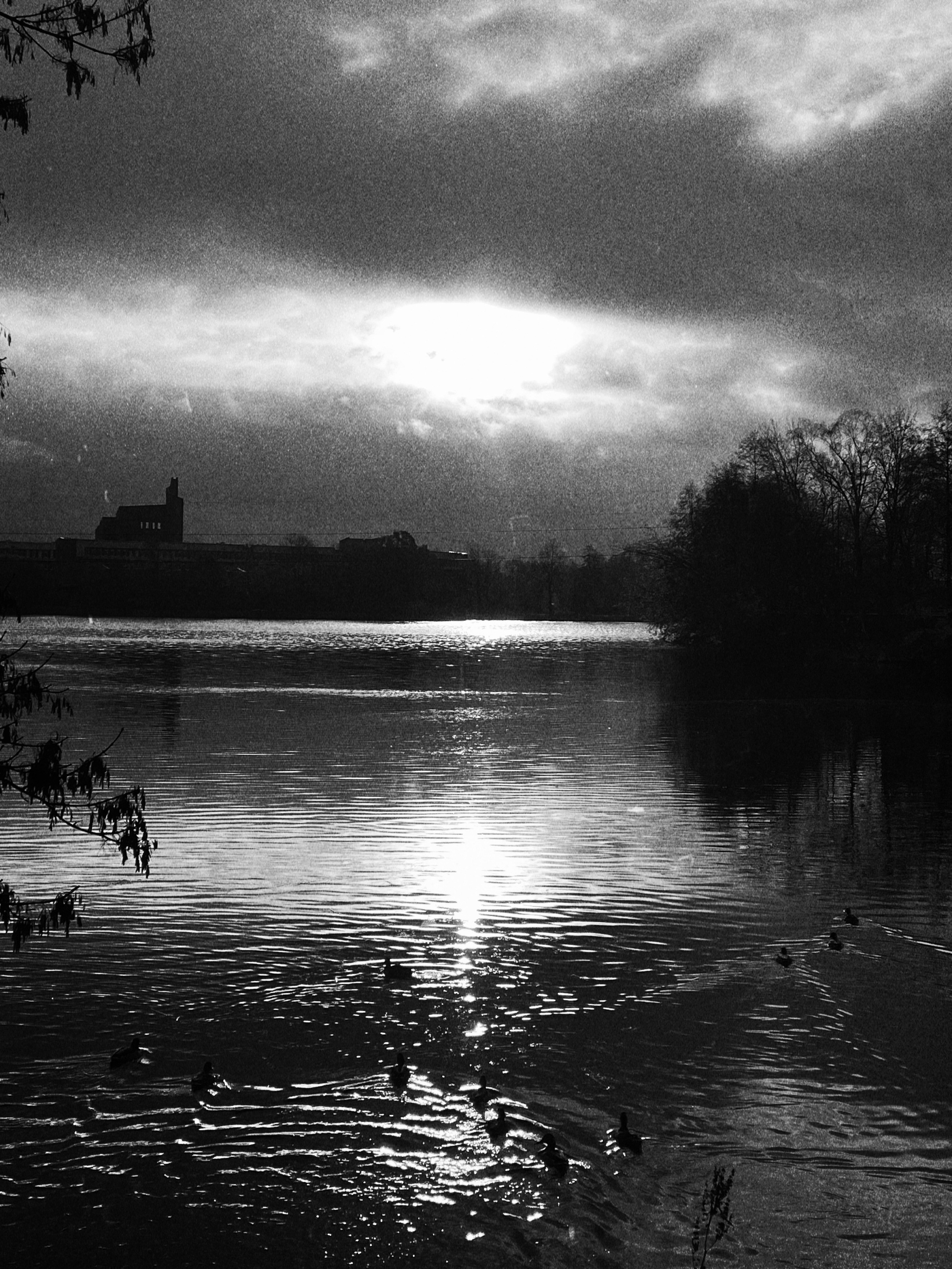 Натура. Фотограф — Маслеников Константин