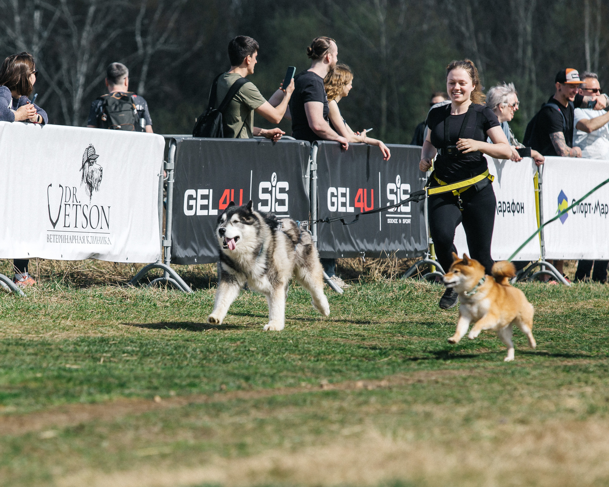 Кросс «Быстрый пёс» 2025. Репортажный фотограф в Москве
