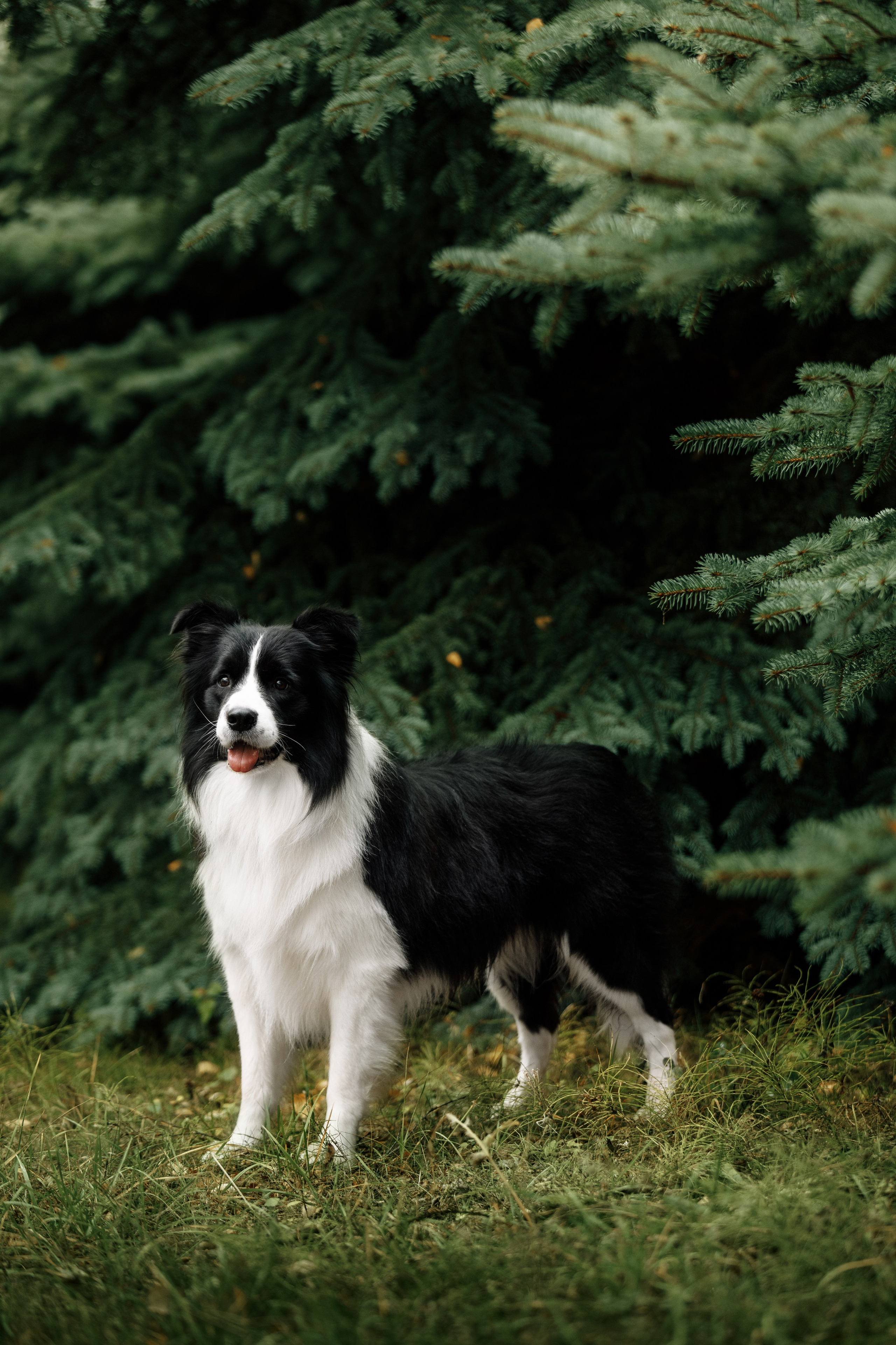 Казань. О нас