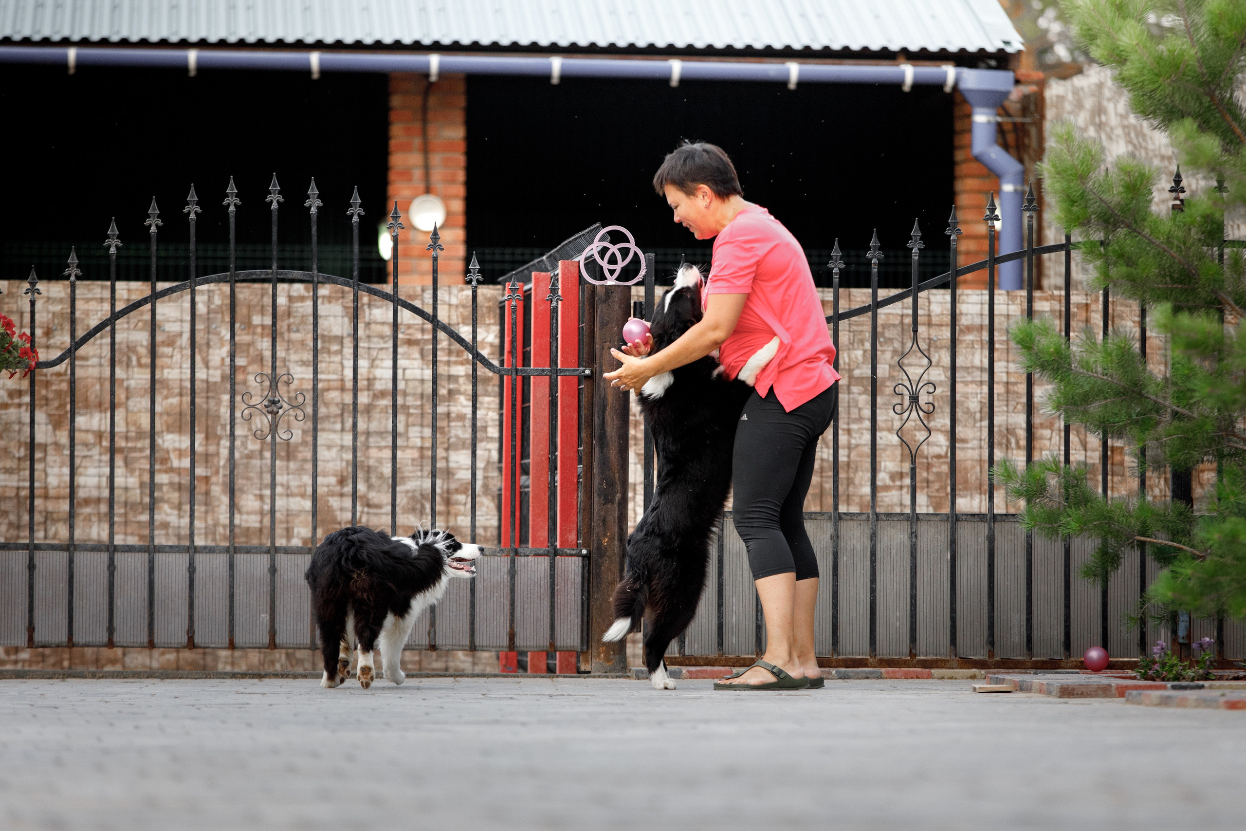 Болтовня в саду. О нас