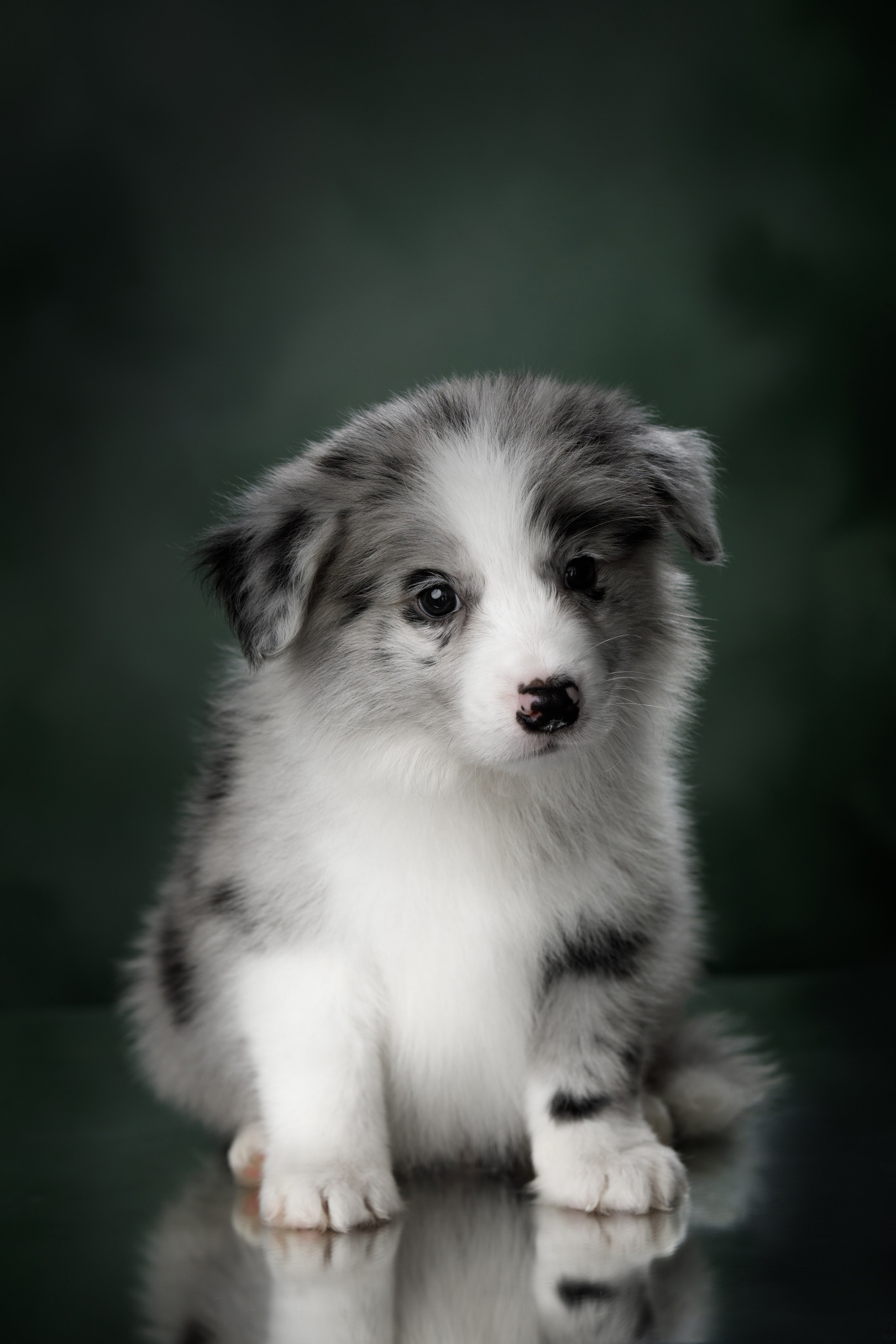 Март. Весна. 22. О нас