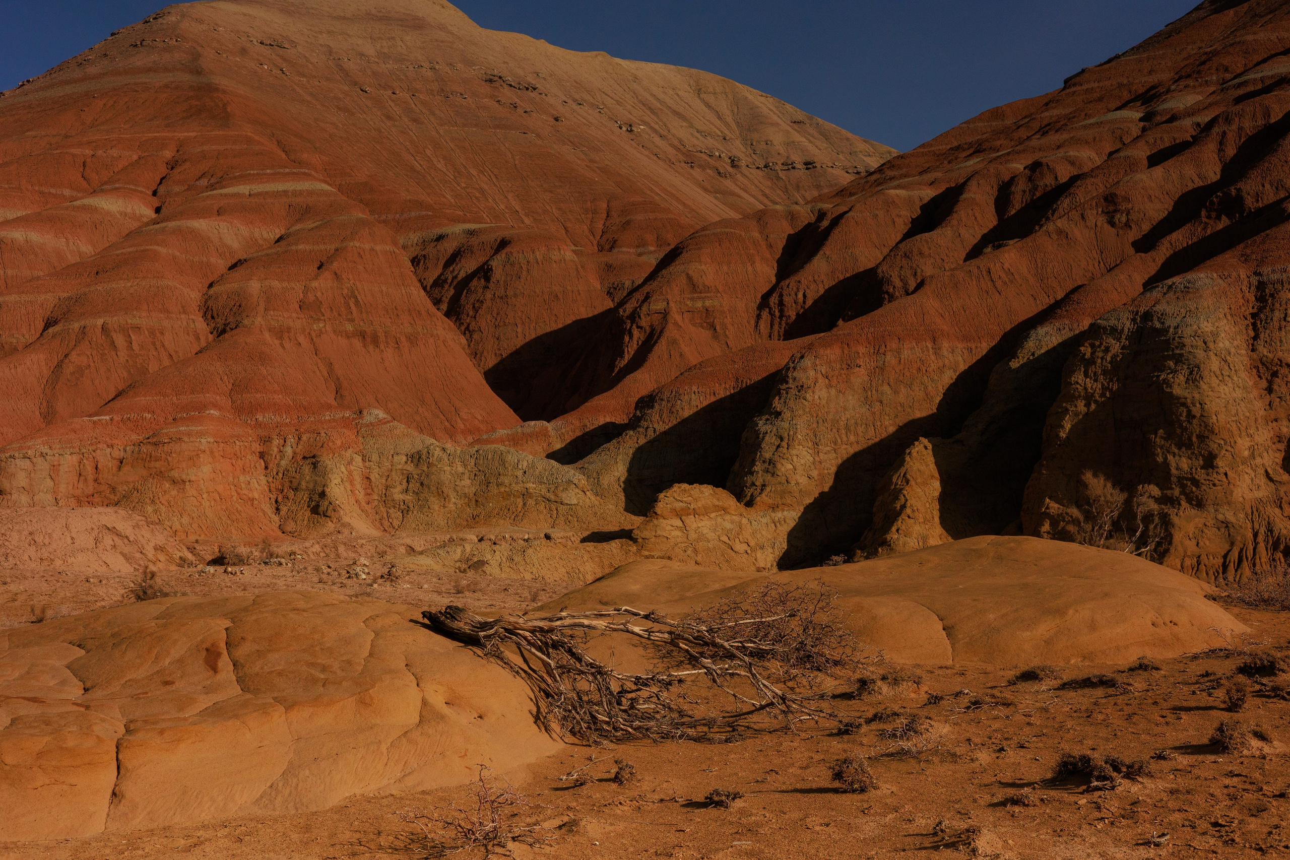 Алтын Эмель горы Актау. Фотограф Мальнева Юлия в Липецке, в Москве. Фотостудия MARU в Липецке