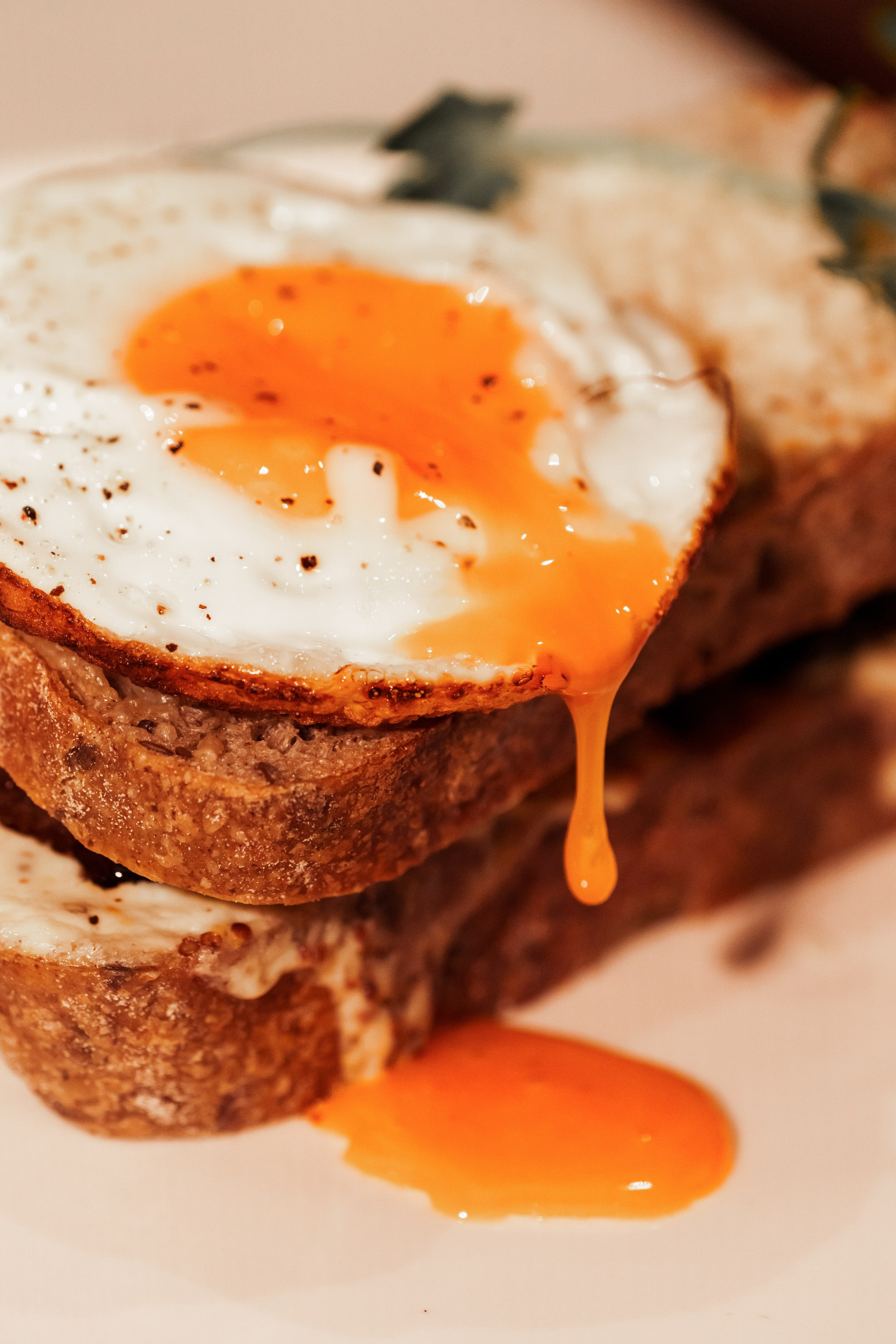 Ресторан | Бар. Фотограф в Санкт-Петербурге Лена Голубева