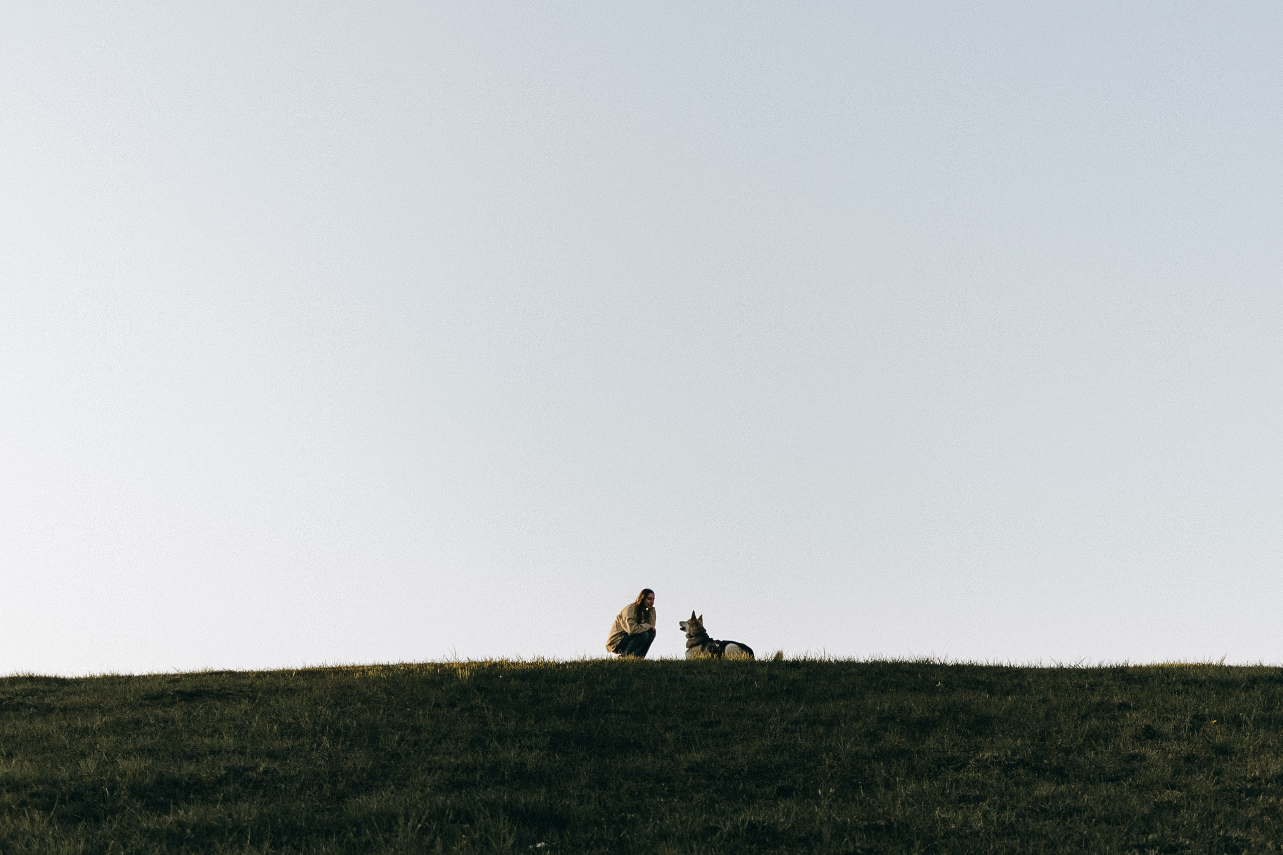 Саша и Зельда. Фотограф — Анималист | Санкт-Петербург