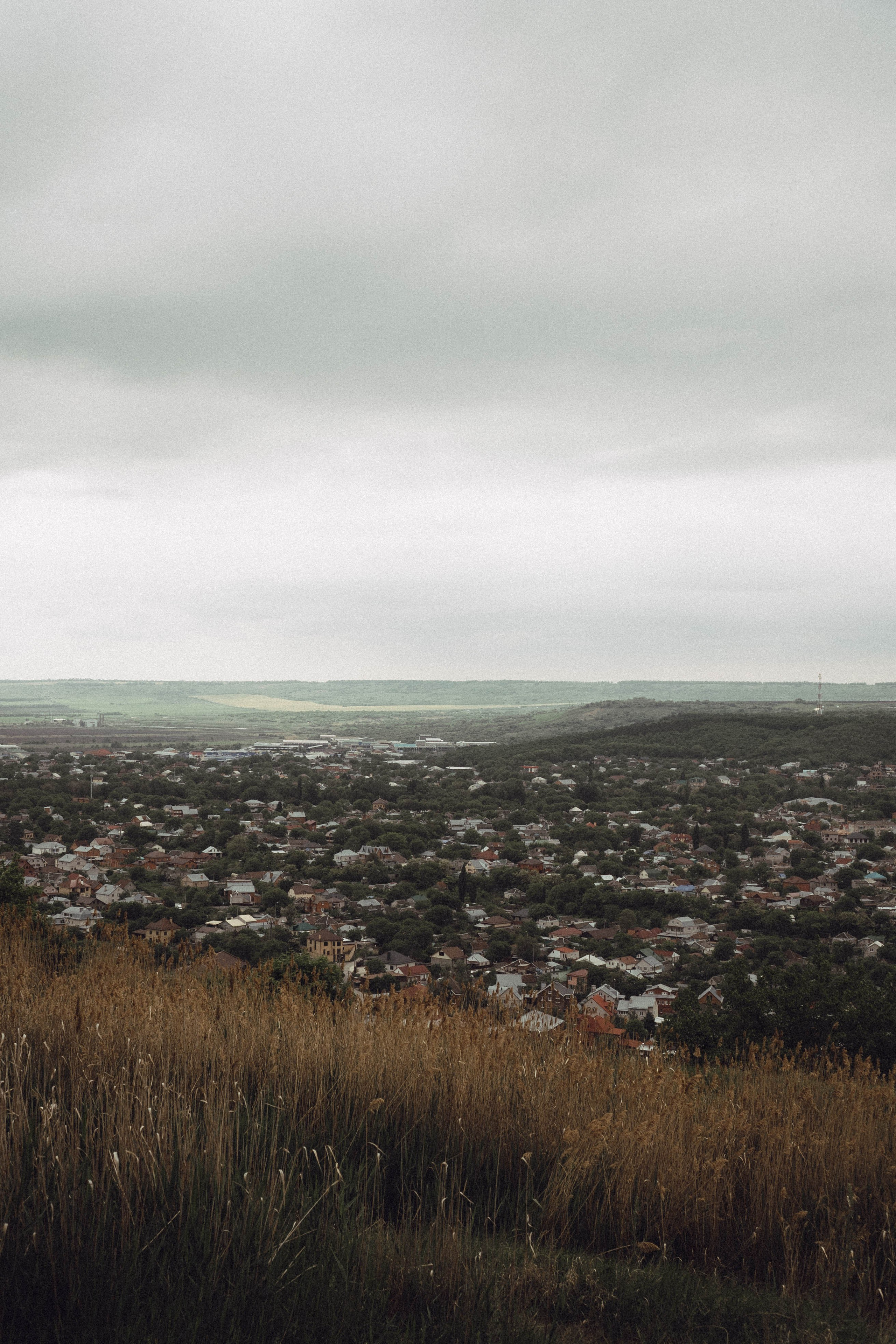 Кавказ. Профессиональный фотограф, Санкт-Петербург — Виктория Богомолова