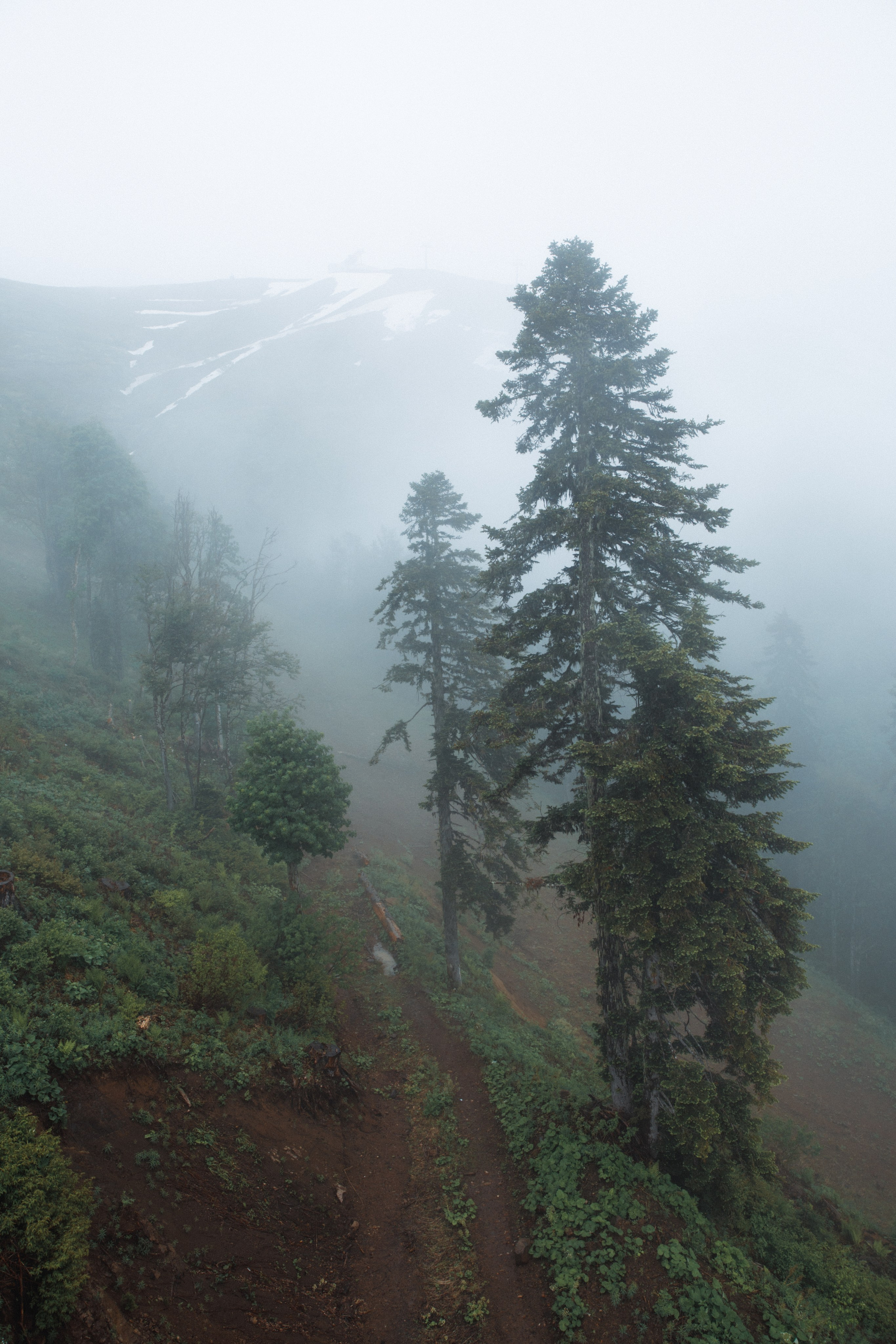 Nature. Артем Корнев Фотограф