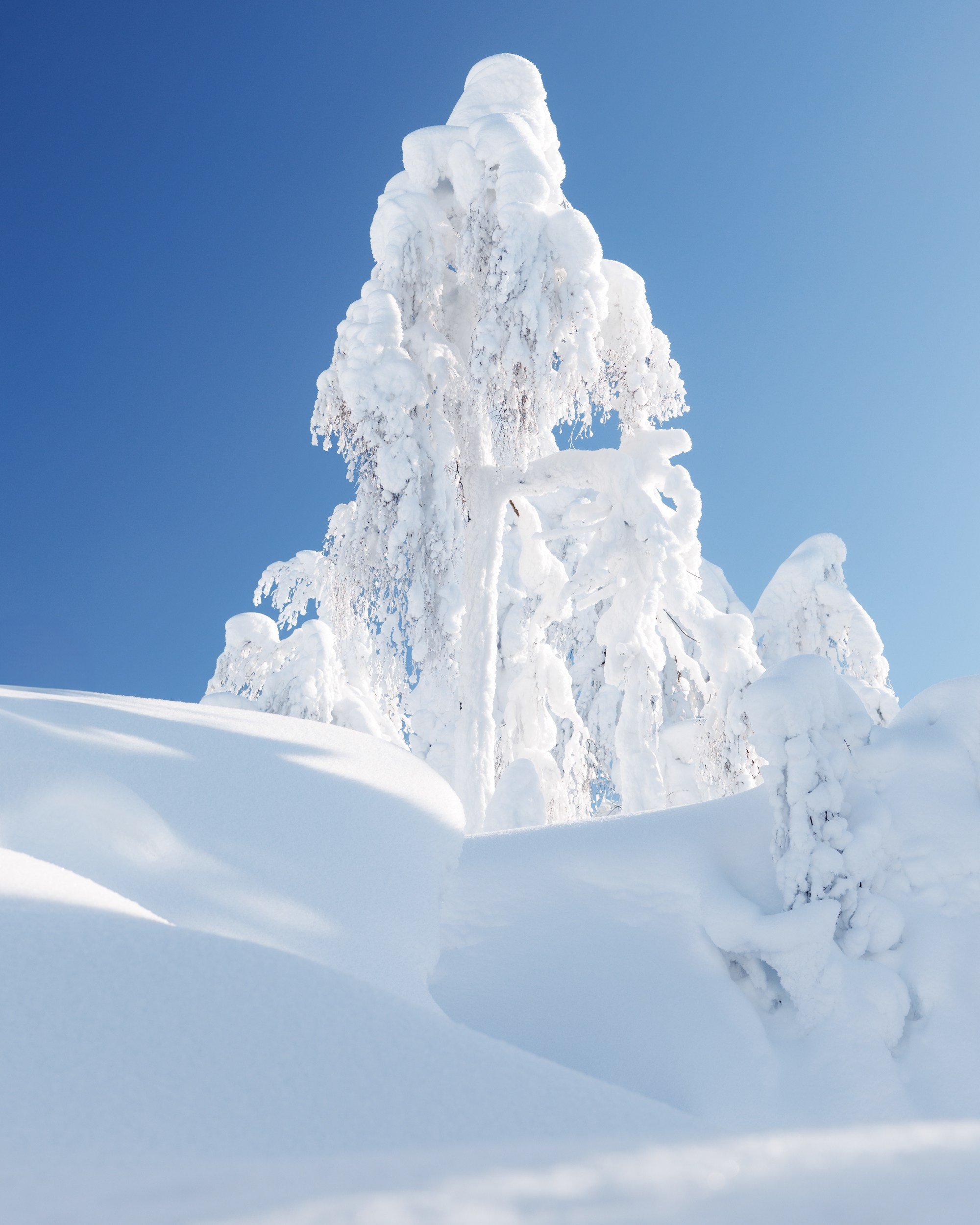 Кампейн для бренда «Outventure». Alexey Shabanov photography