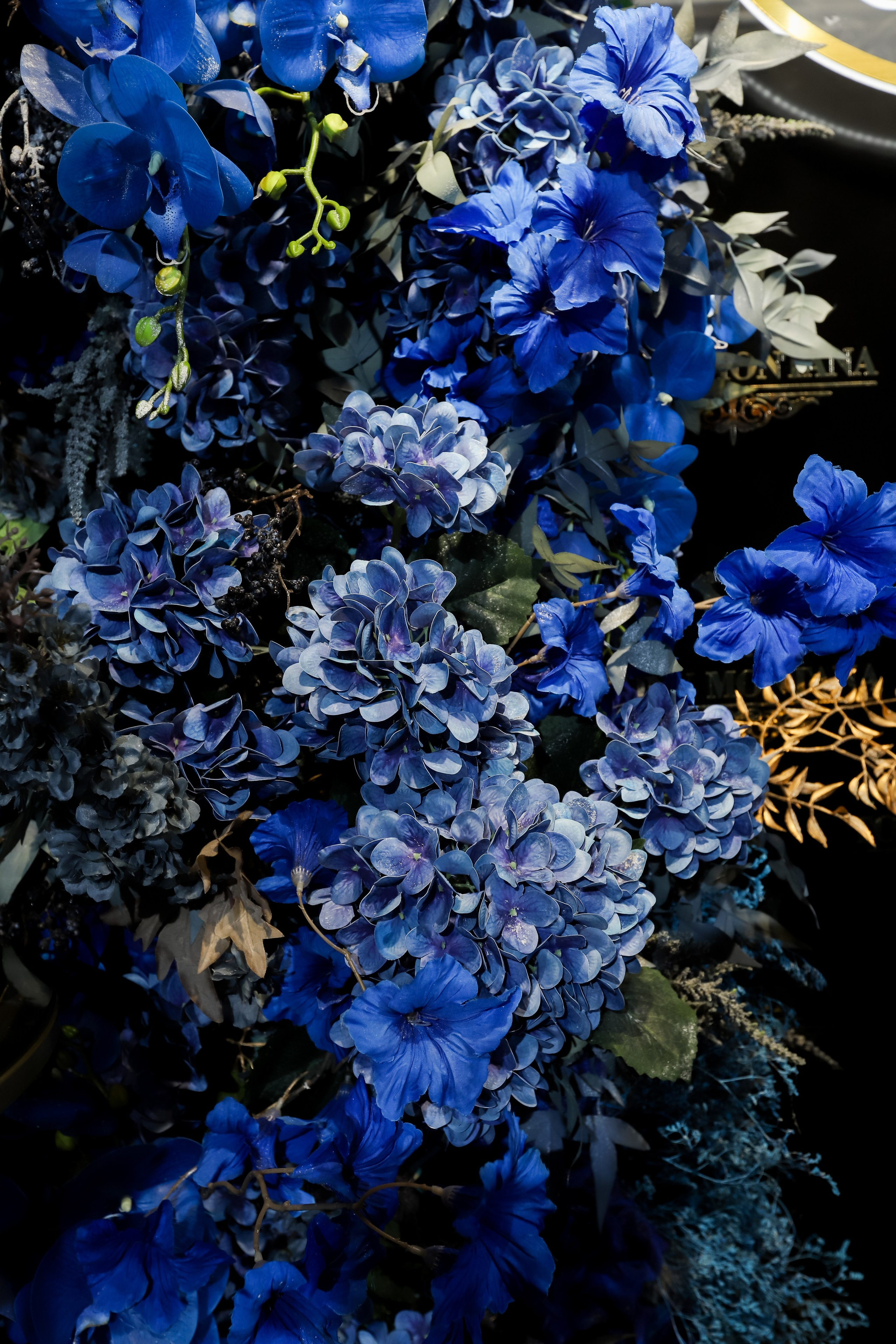 Tony Montana. Фотограф в Краснодаре Анна Светикова