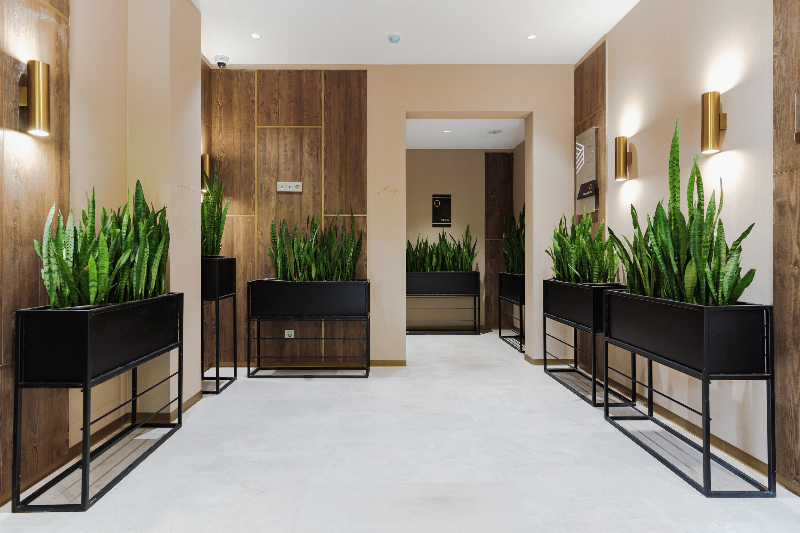 Лучезарный. Создаю контент для бизнеса- Андрей Корниенко и упаковываю компании и экспертов в Краснодаре