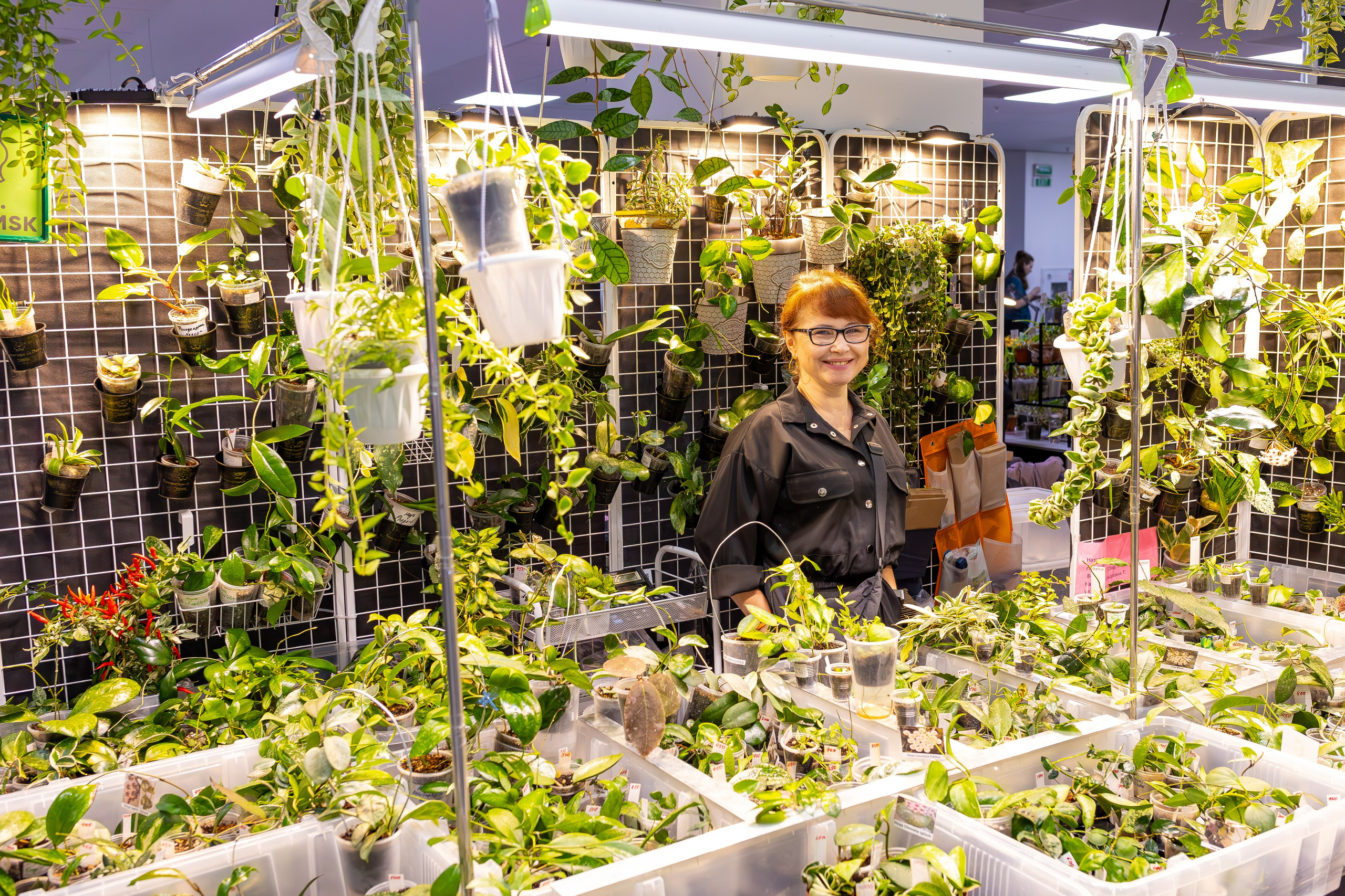 Орхидиум сентябрь 2025. Александра Куликова фотограф, Москва