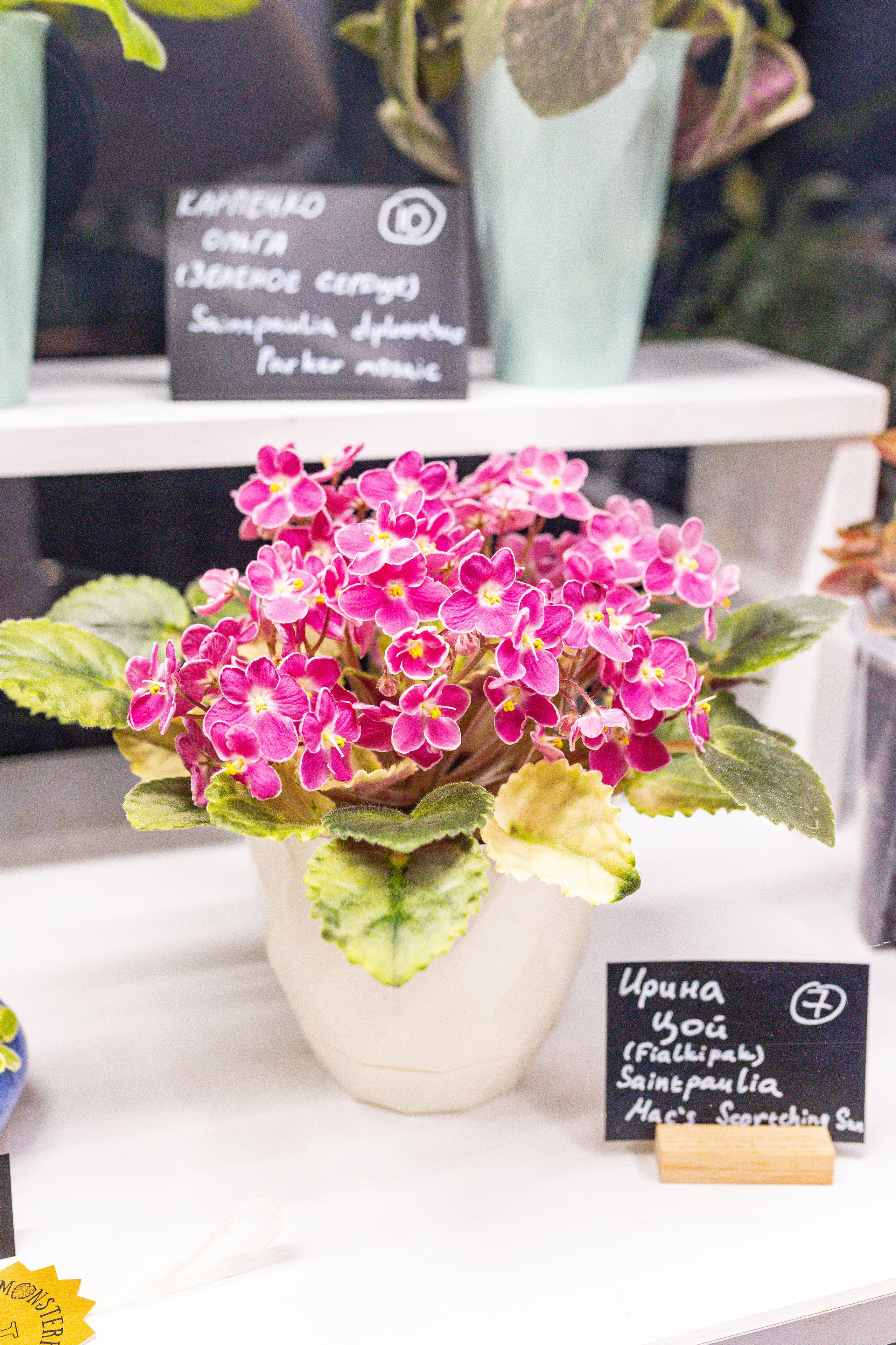 Монстериум 11–12 октября. Александра Куликова фотограф, Москва