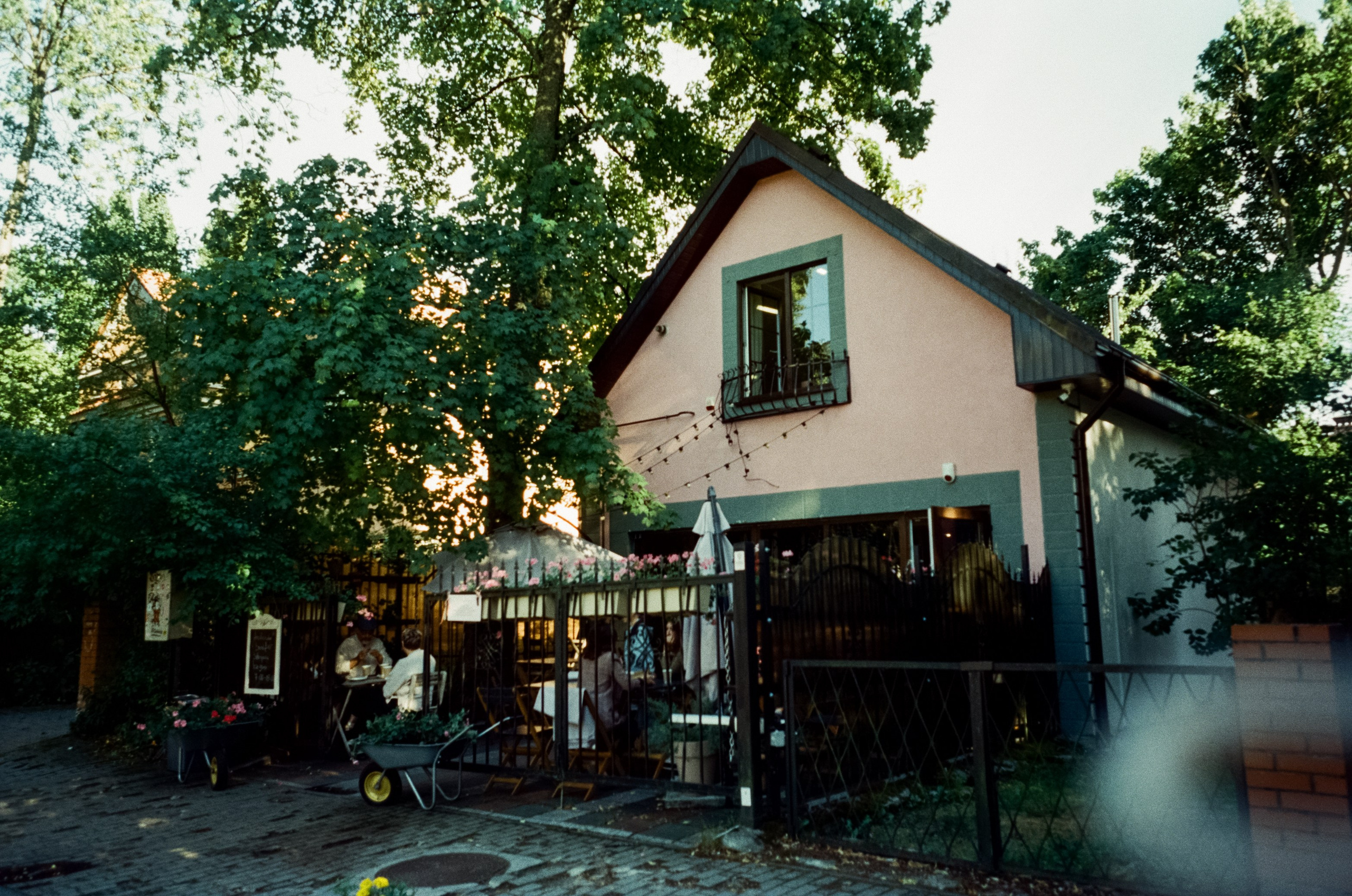 Прогулка от Площади Победы к Amalienau в golden hour. Фотограф-документалист Мария Осокина