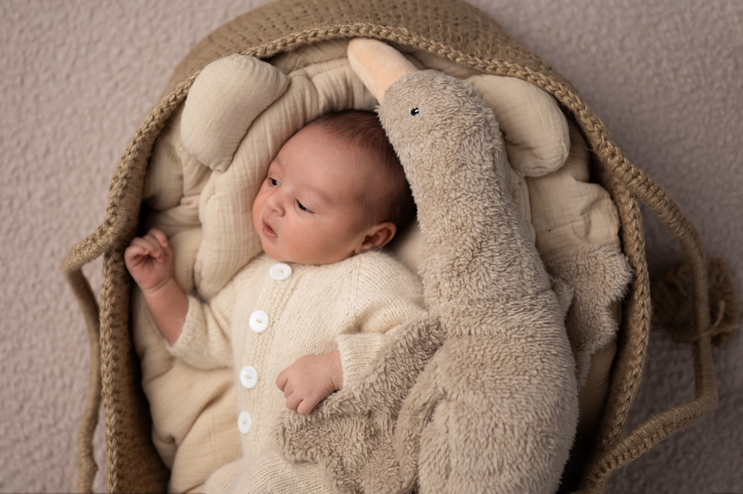 Возраст 3 недели, девочка. Фотограф новорождённых Ольга Ушакова Москва