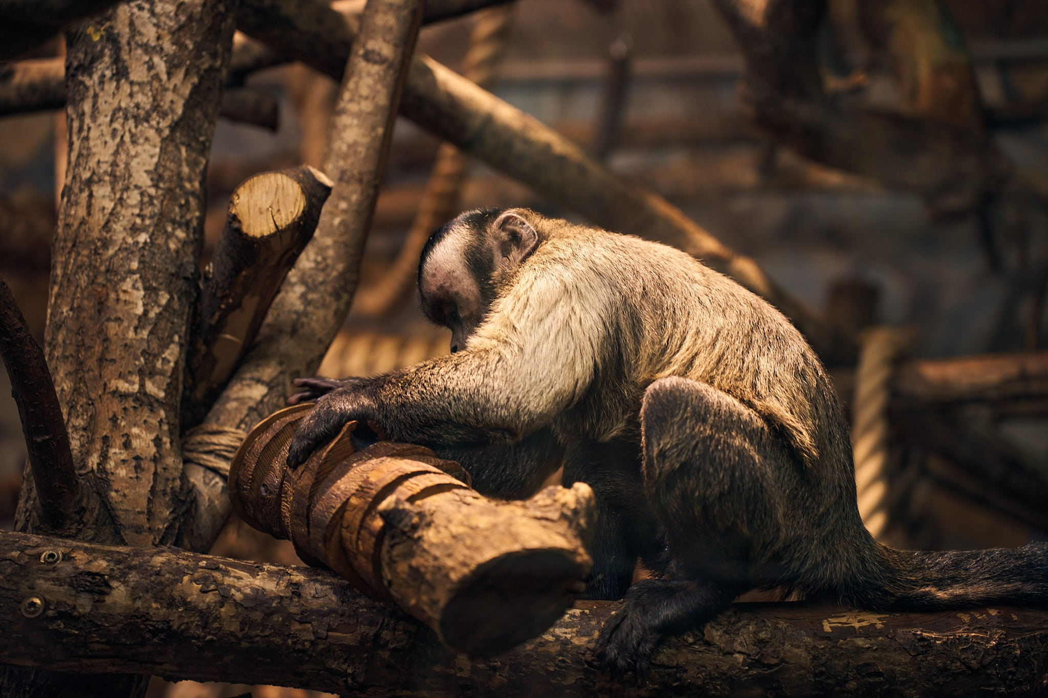 ZOO. ФОТОГРАФ ЕКАТЕРИНБУРГ