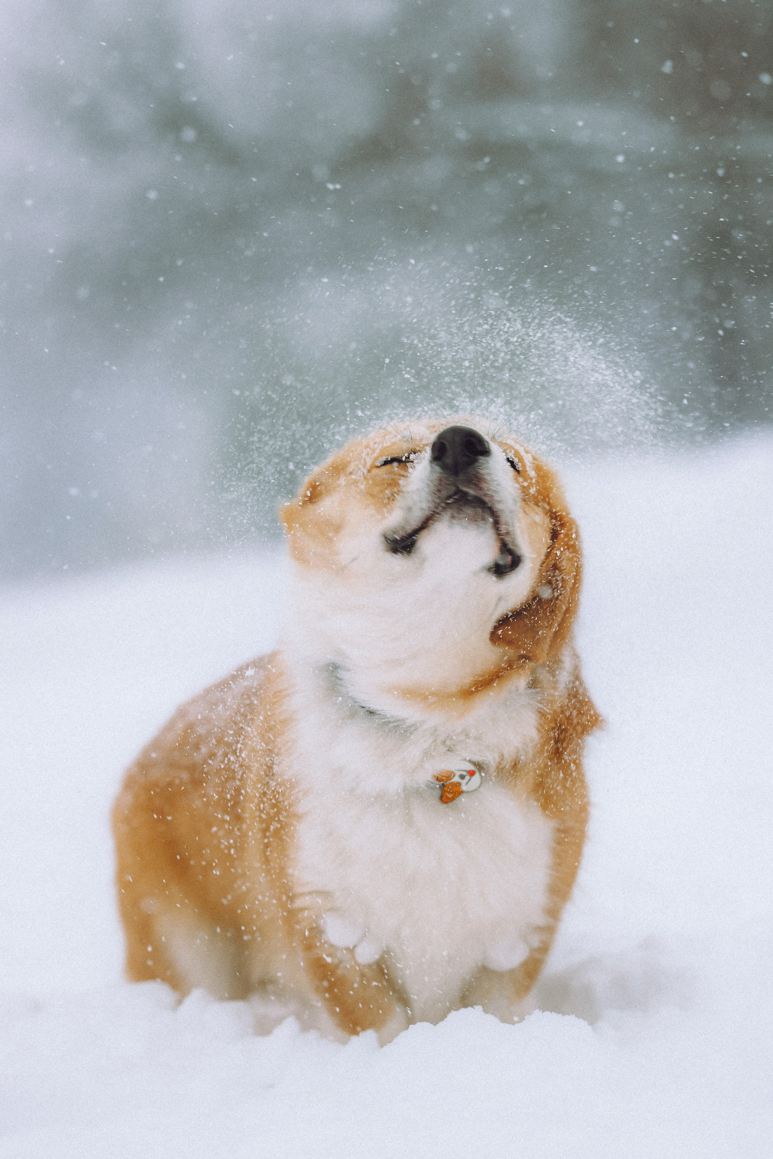 Юля и Юпитер