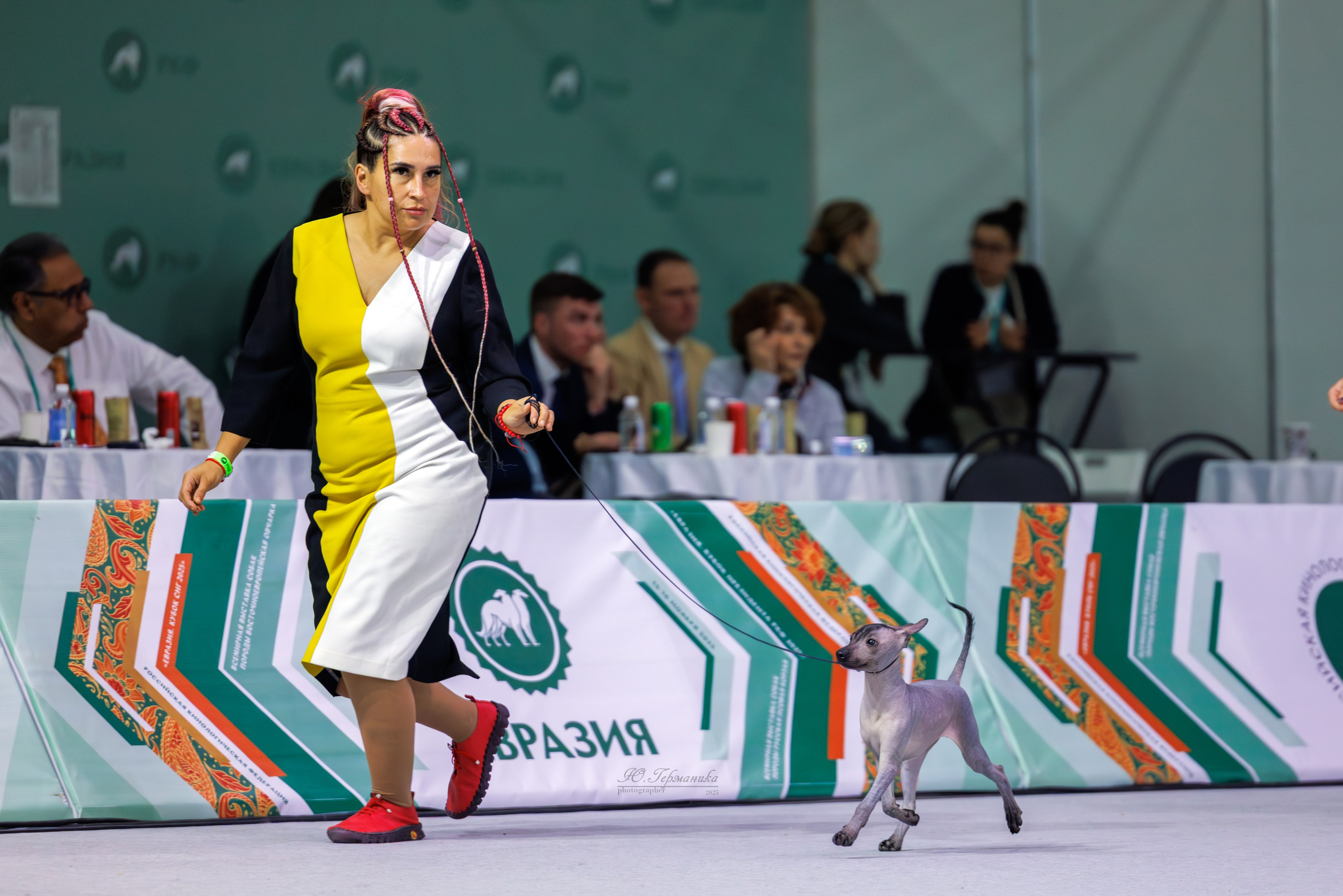 Евразия 15-16.11.2025. Фотограф-анималист Юлия Германика