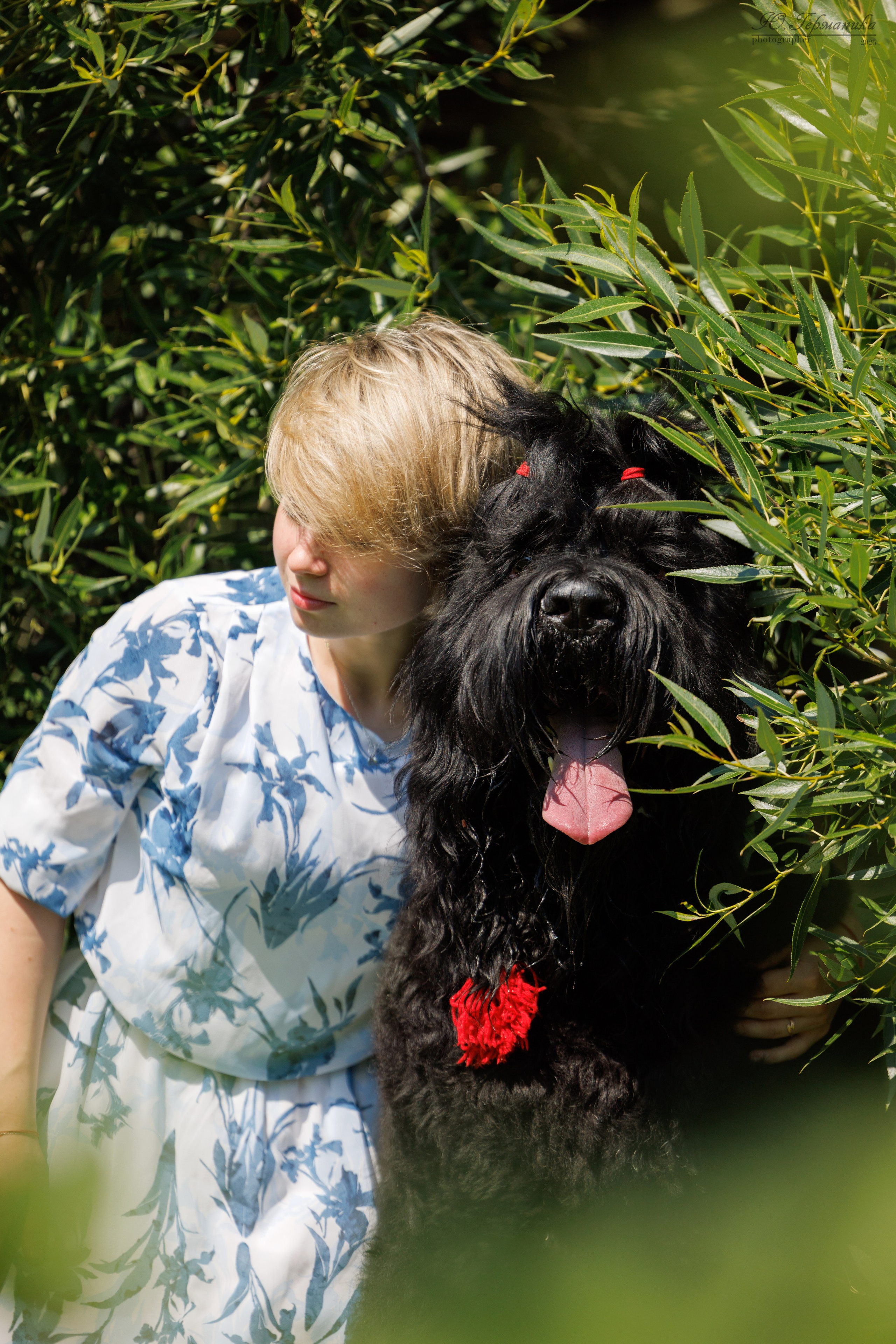 Фотосет Бригада УХ)). Фотограф-анималист Юлия Германика