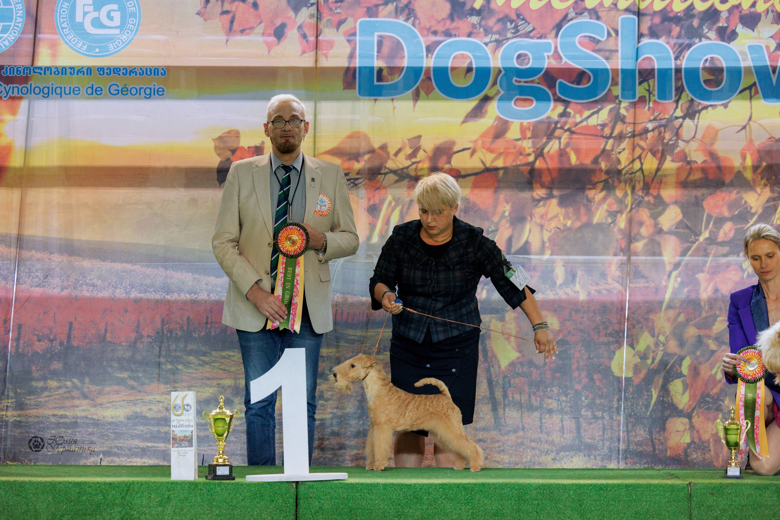 Грузия,Телави 2хCACIB 19-20.10.2024. Фотограф-анималист Юлия Германика