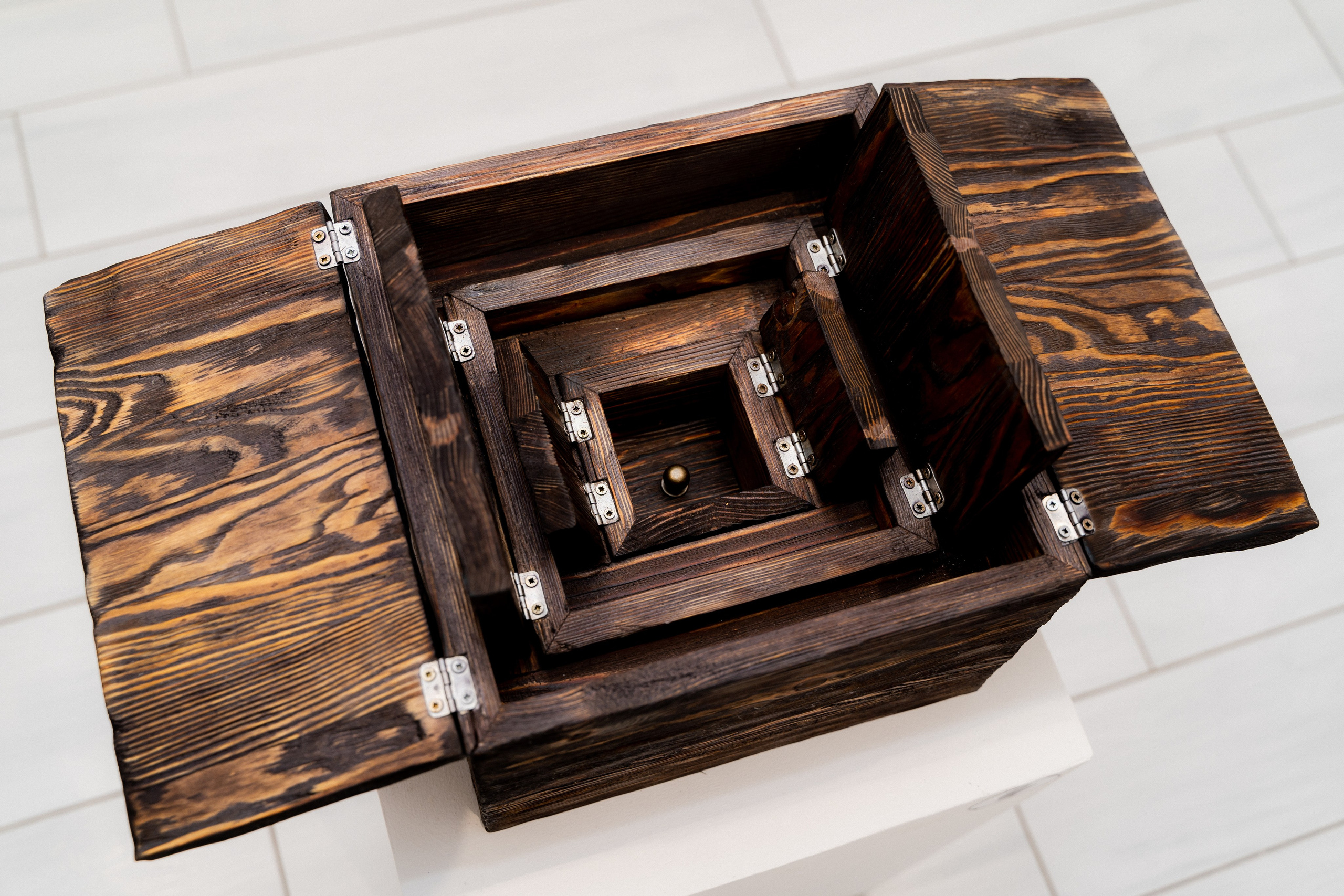 Открытие выставки. Твой фотограф Алина Кочергина