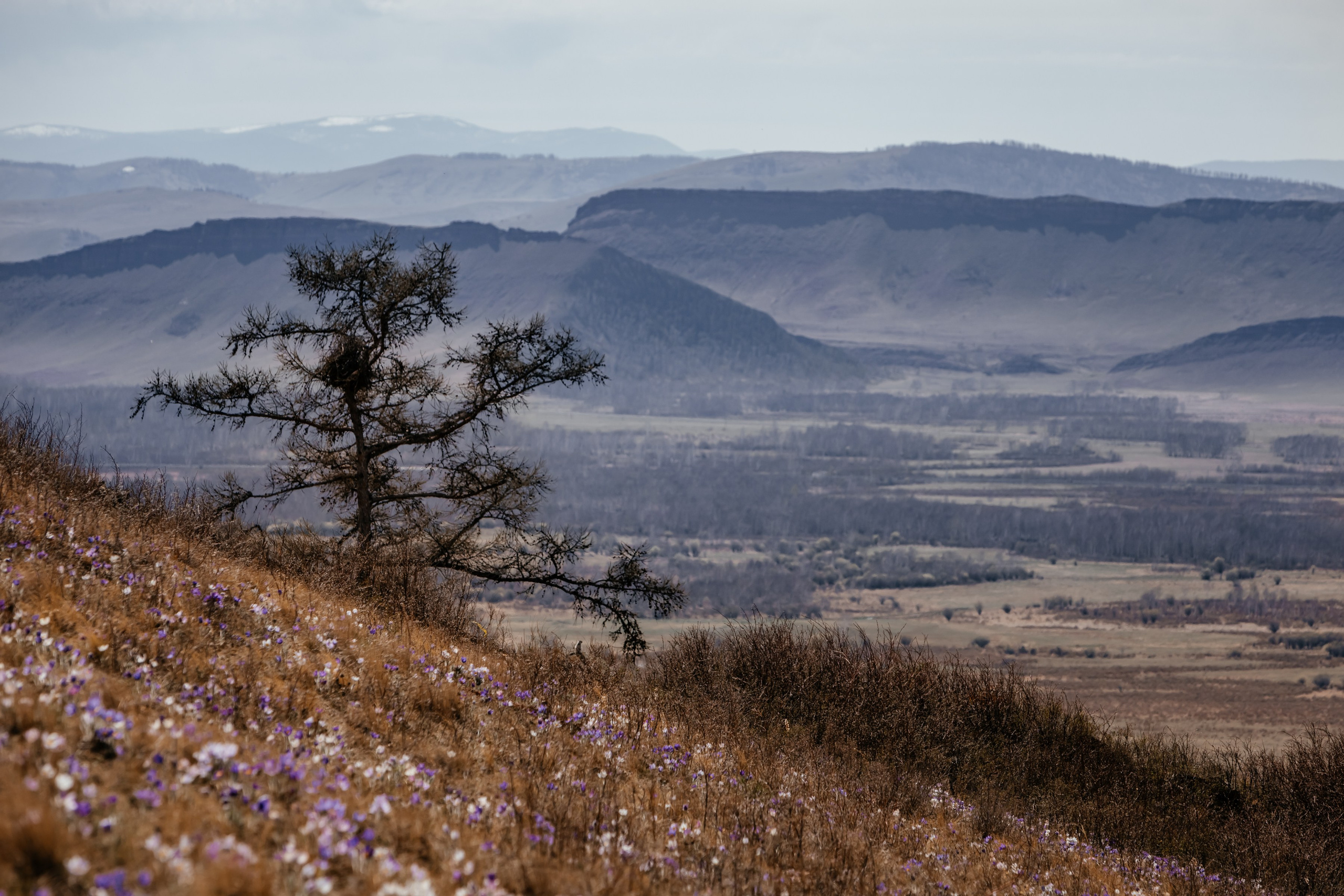 Хакассия. Фотограф в Красноярске Оксана Корчагина