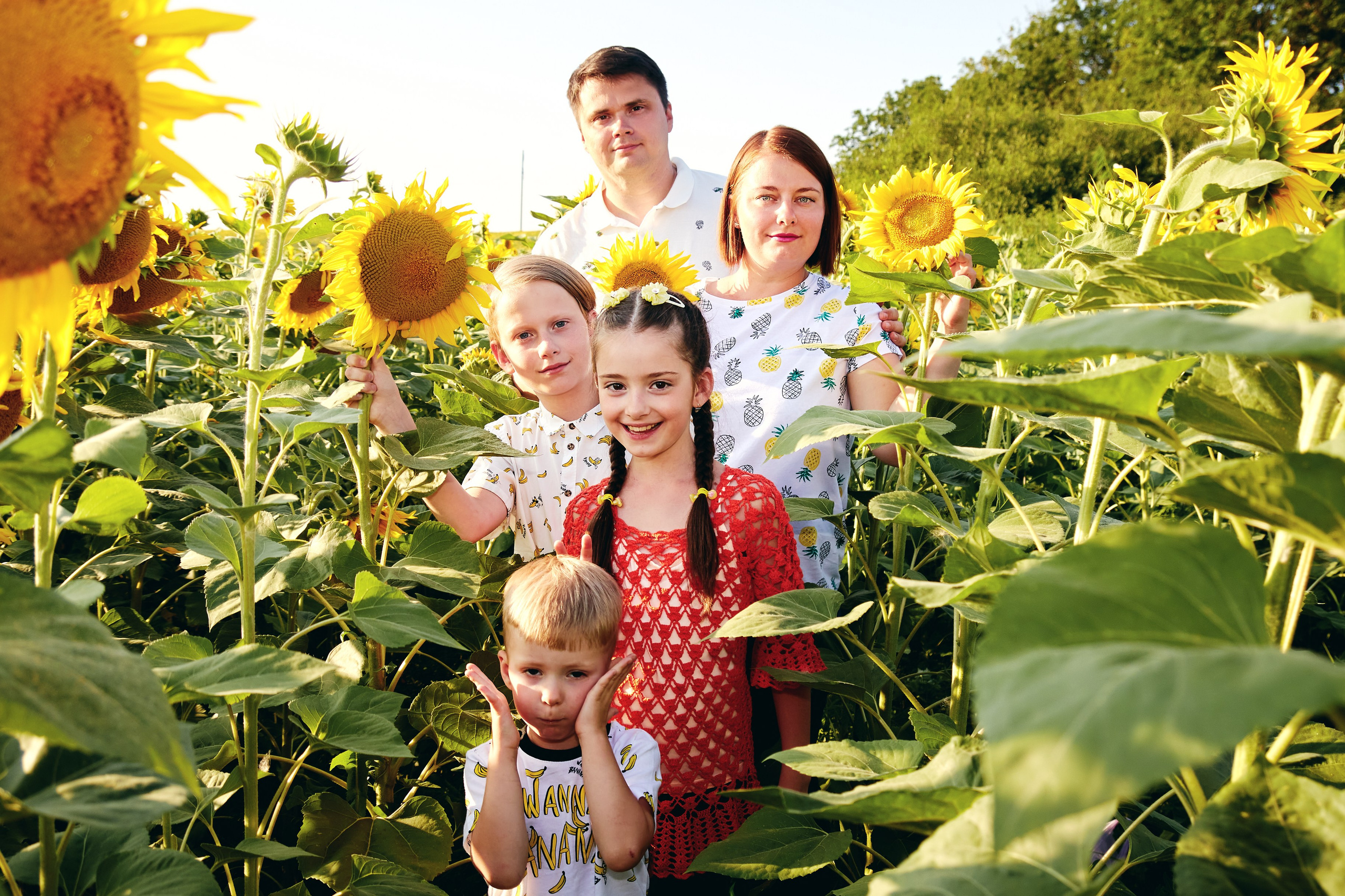 Семейная фотосессия в подсолнухах в Пятигорске. Фотограф и видеограф Антон Калашников | Пятигорск