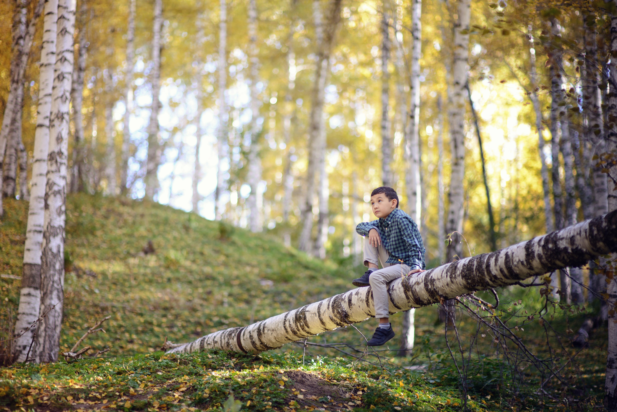 Асель. Березовая роща. Семейный фотограф, женский фототерапевт