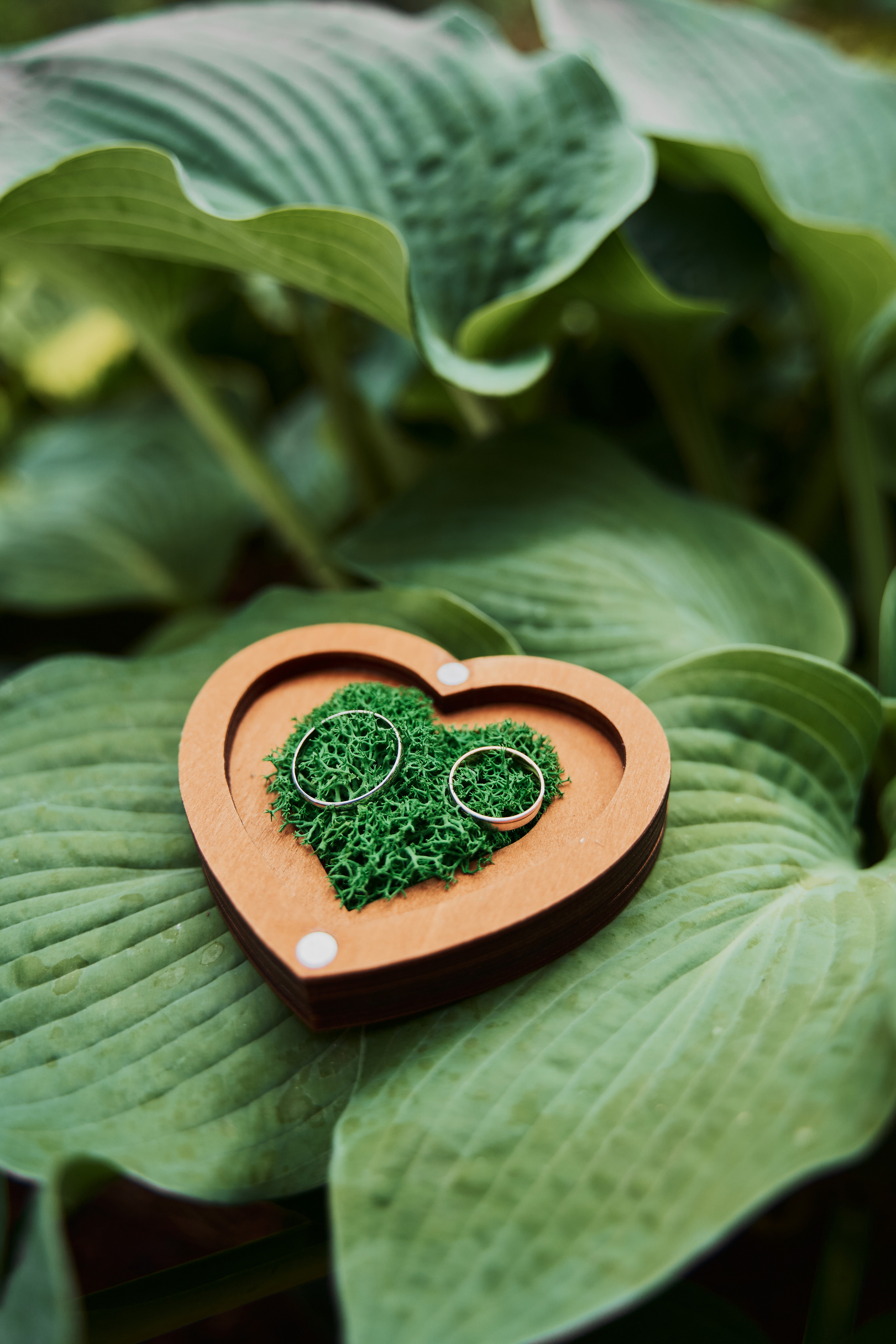 Свадебная фотосессия. Фотограф Москва Арина Клокова