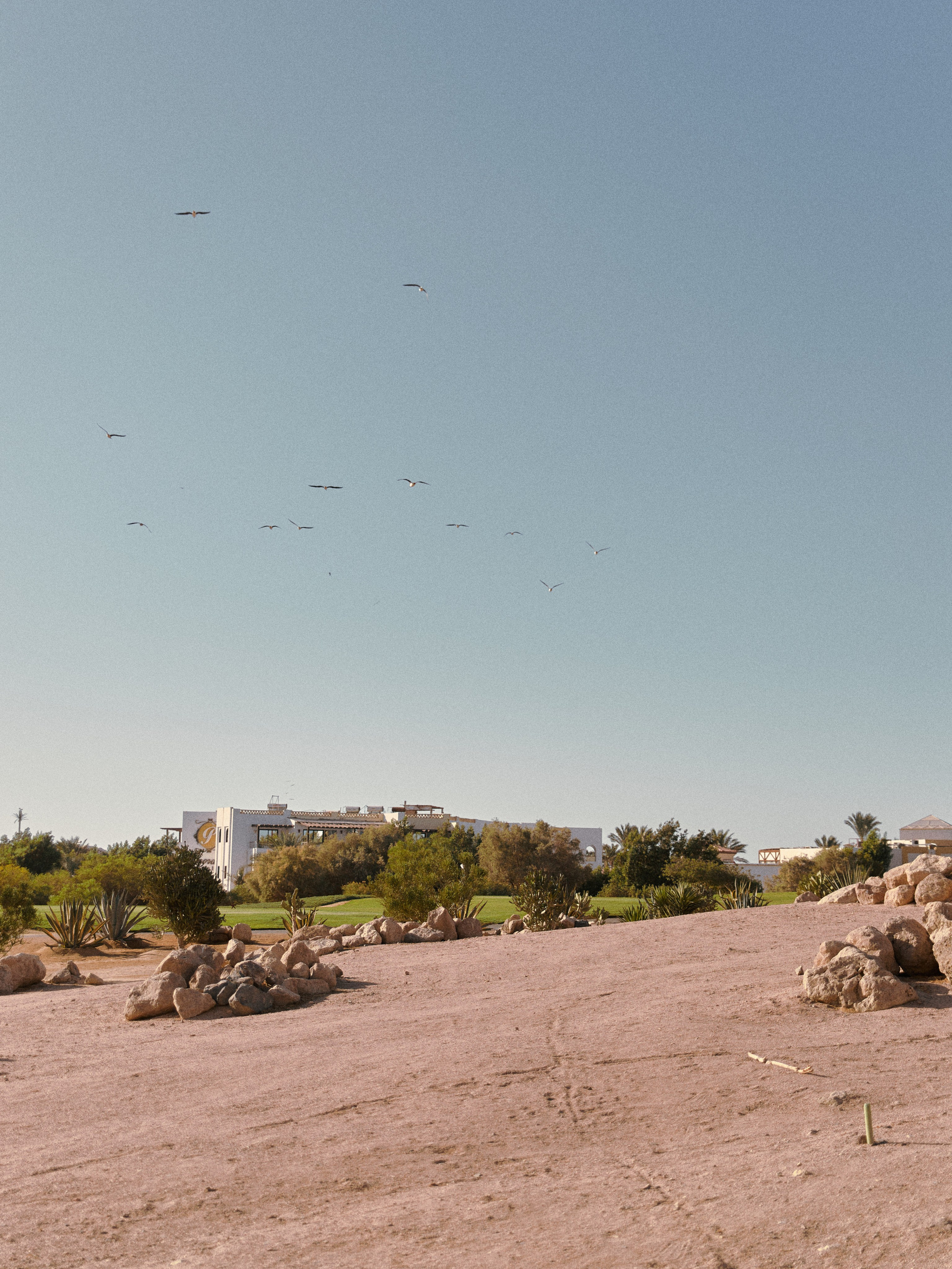 Другое 2. Jorgis Talè — photographer, kind person, teacher of arts and other mag