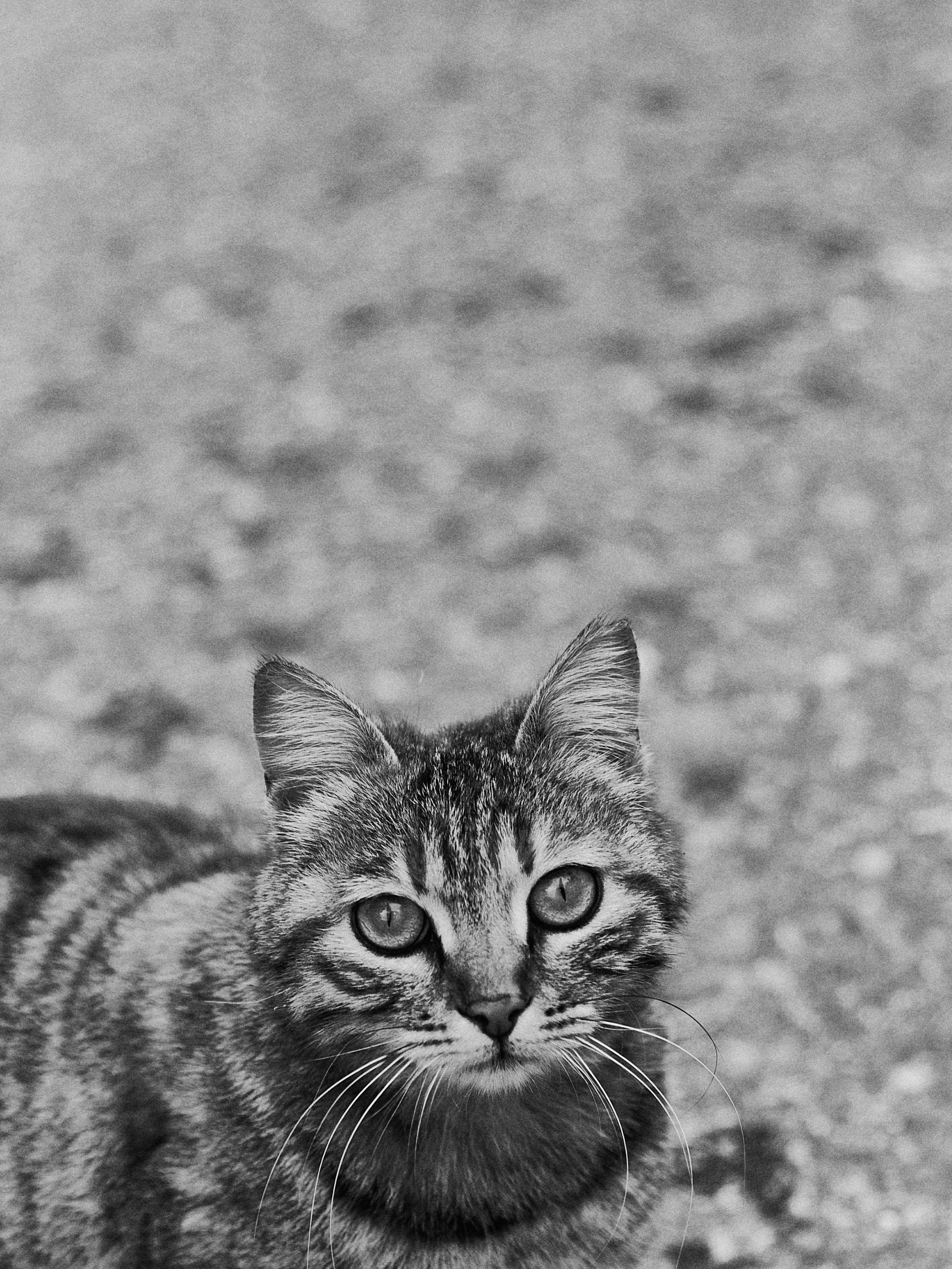 B&W. Jorgis — фотограф в Хургаде / обучение фотографии