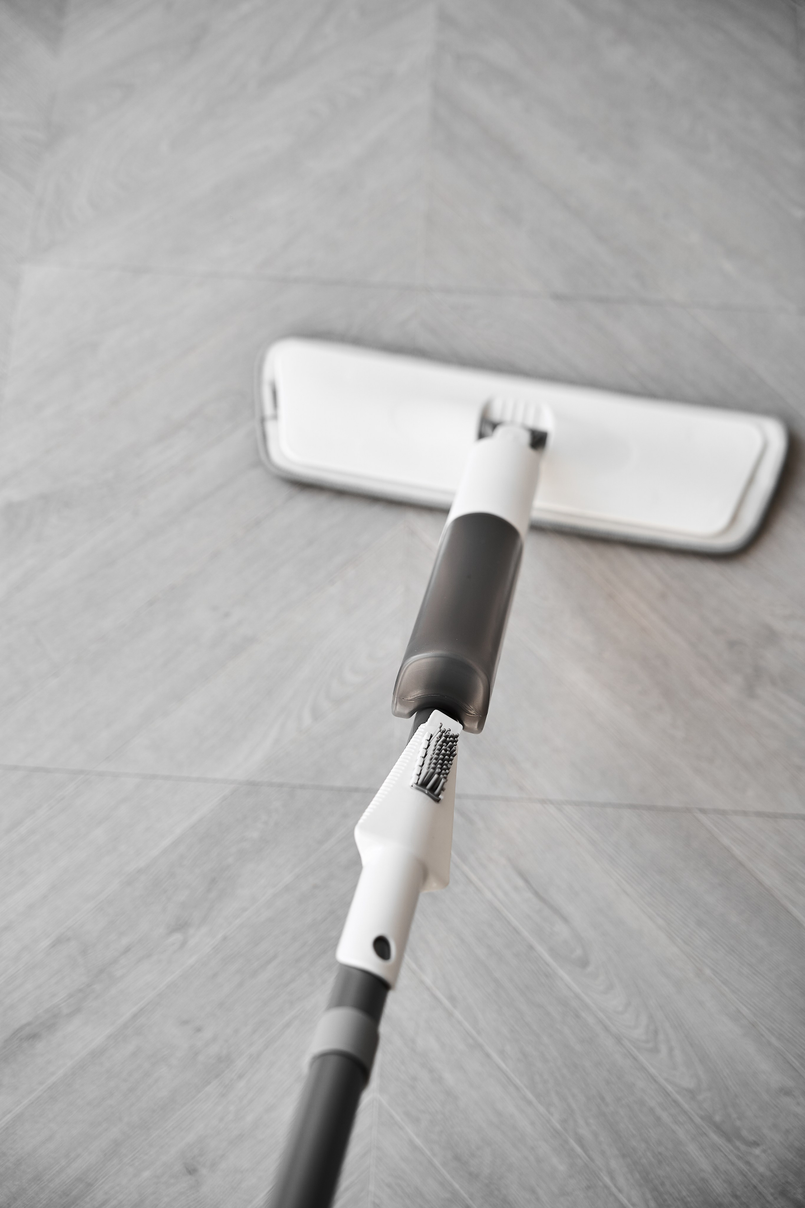 White cat. Фотограф в Москве Казакова Анна