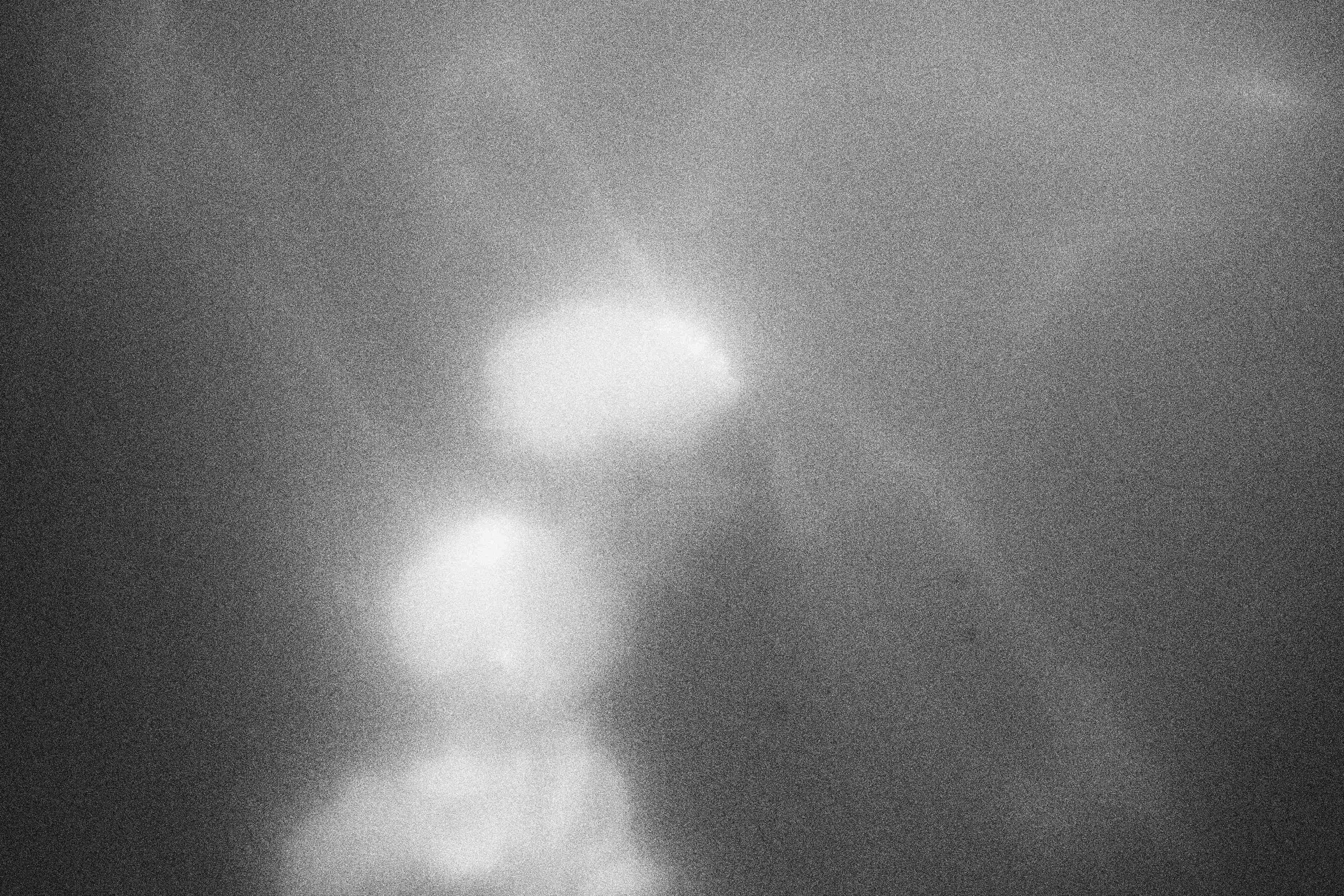 «Видеть. Чувствовать. Сохранять»