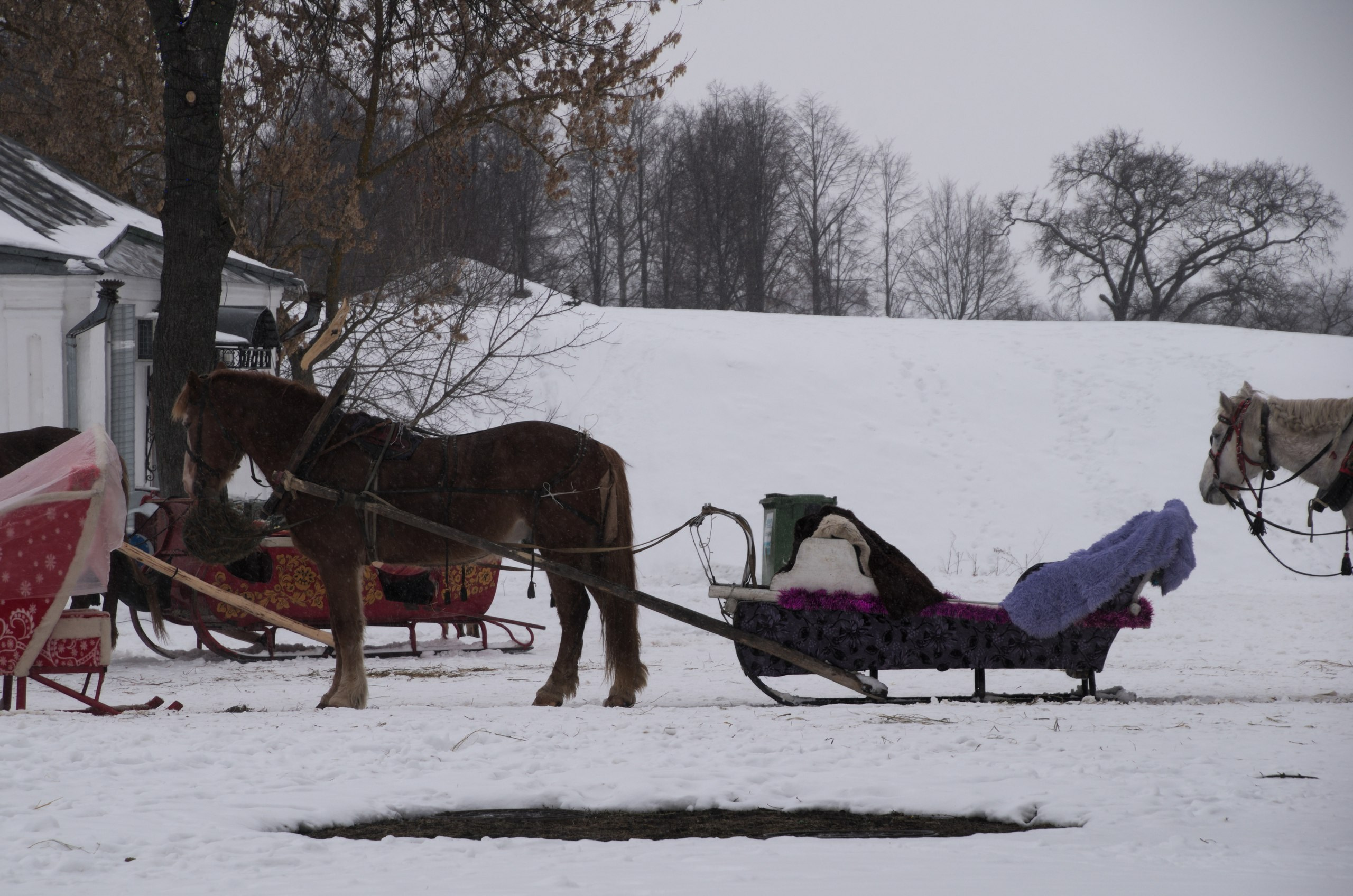 Владимир+Суздаль | 18-19.02.2017. Галерея Фантим