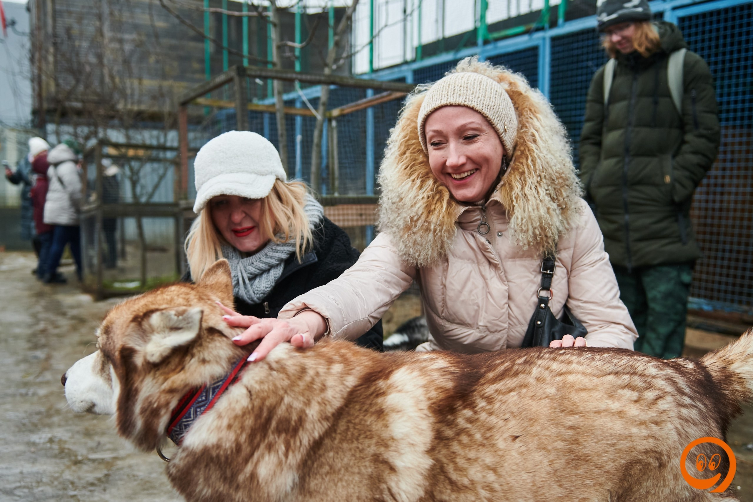 В гости к северным оленям | 18.01.2025. Галерея Фантим