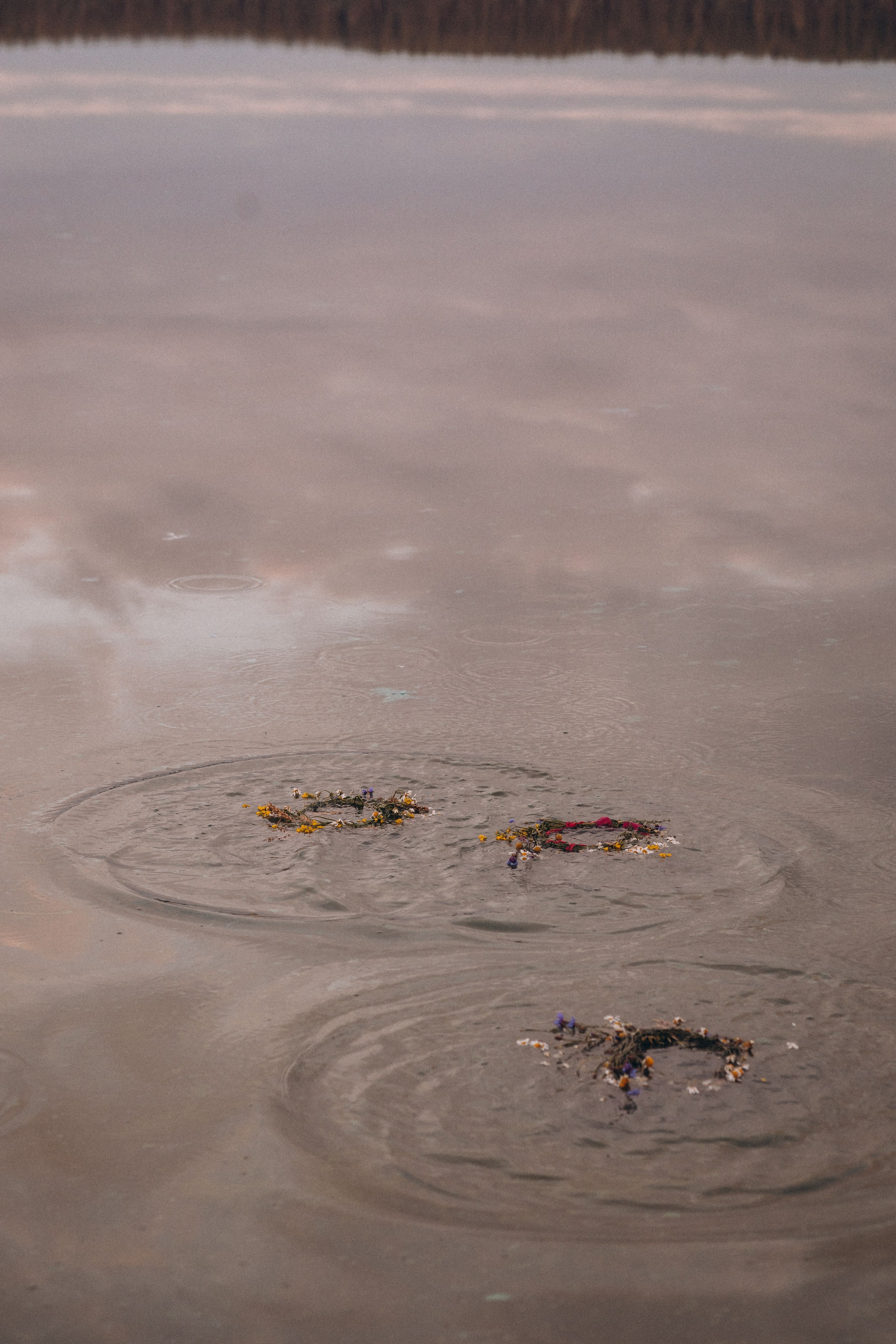 Иван Купала. Семейный фотограф Нижневартовск Тюмень Ефимова Ирина