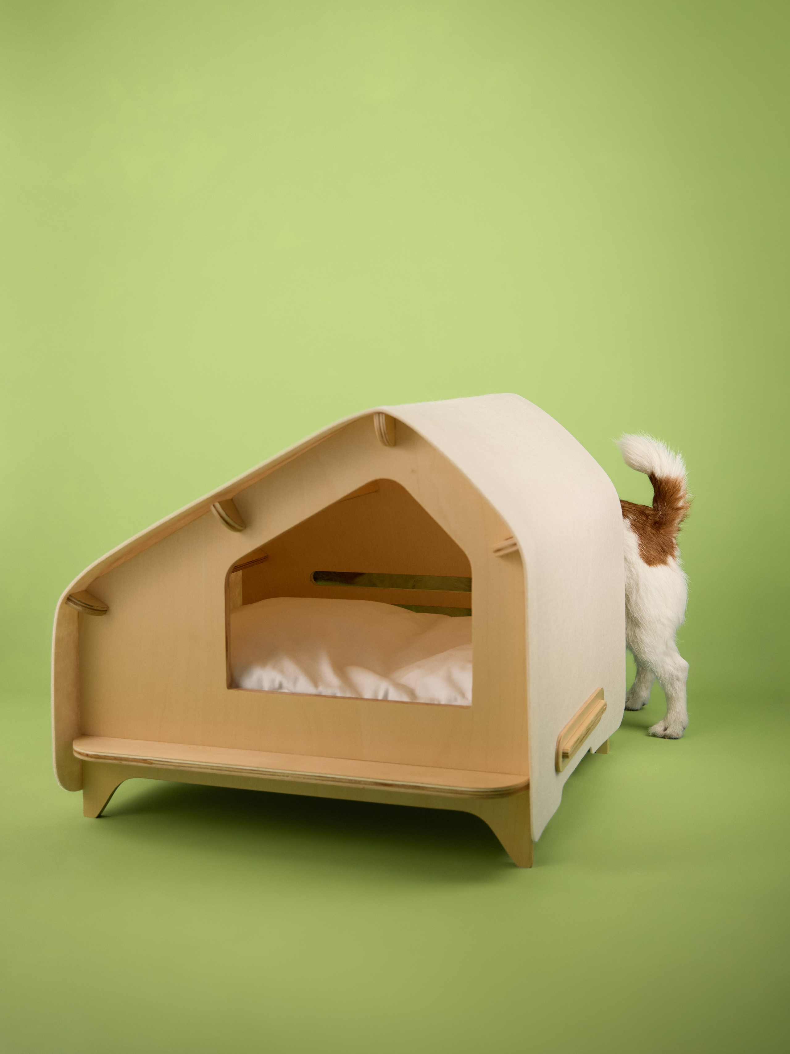 Commercial photography. Фотограф-анималист Аверьянова Анна — Художественная фотосъёмка собак