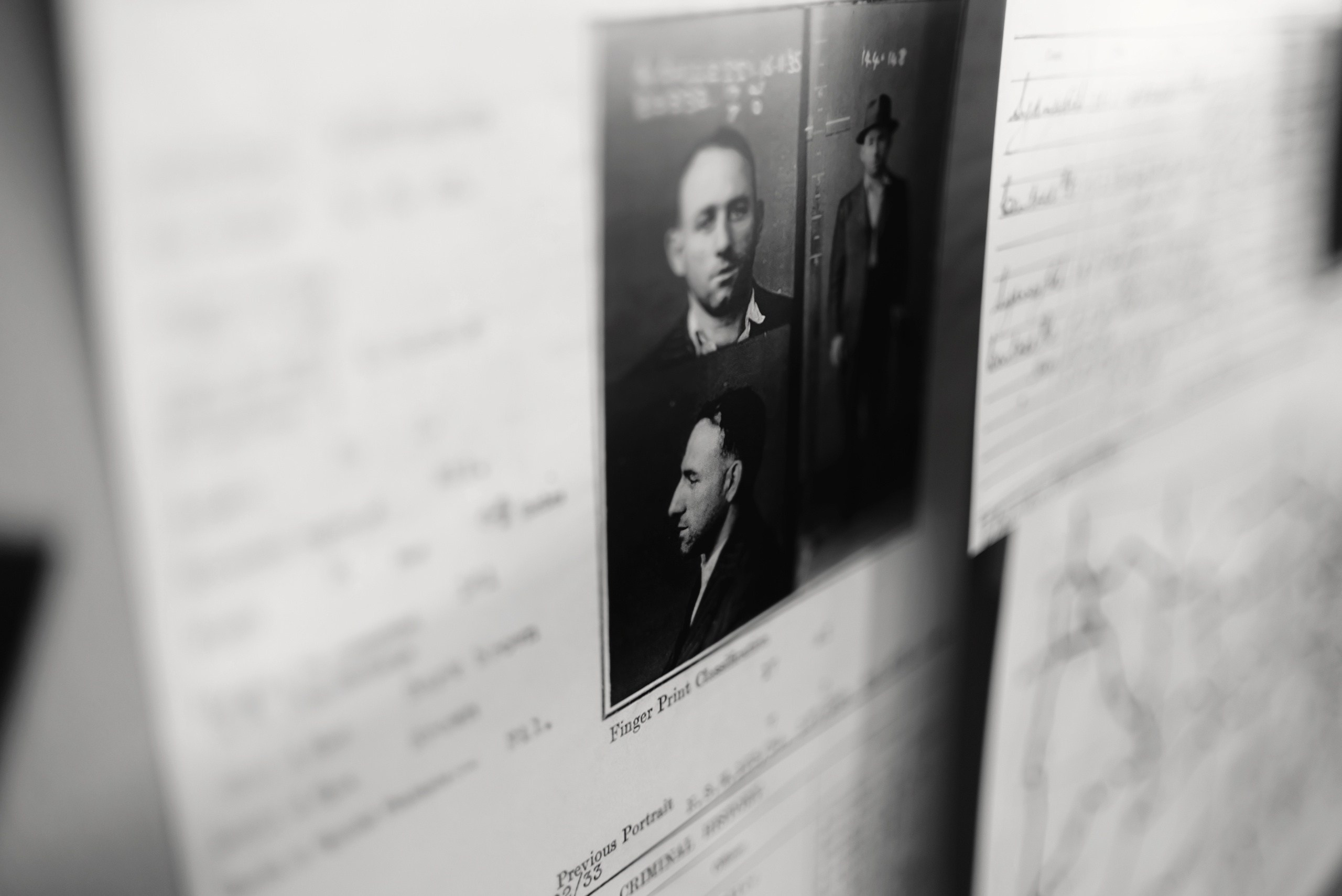 Фото: Артем и Анна Приходько 