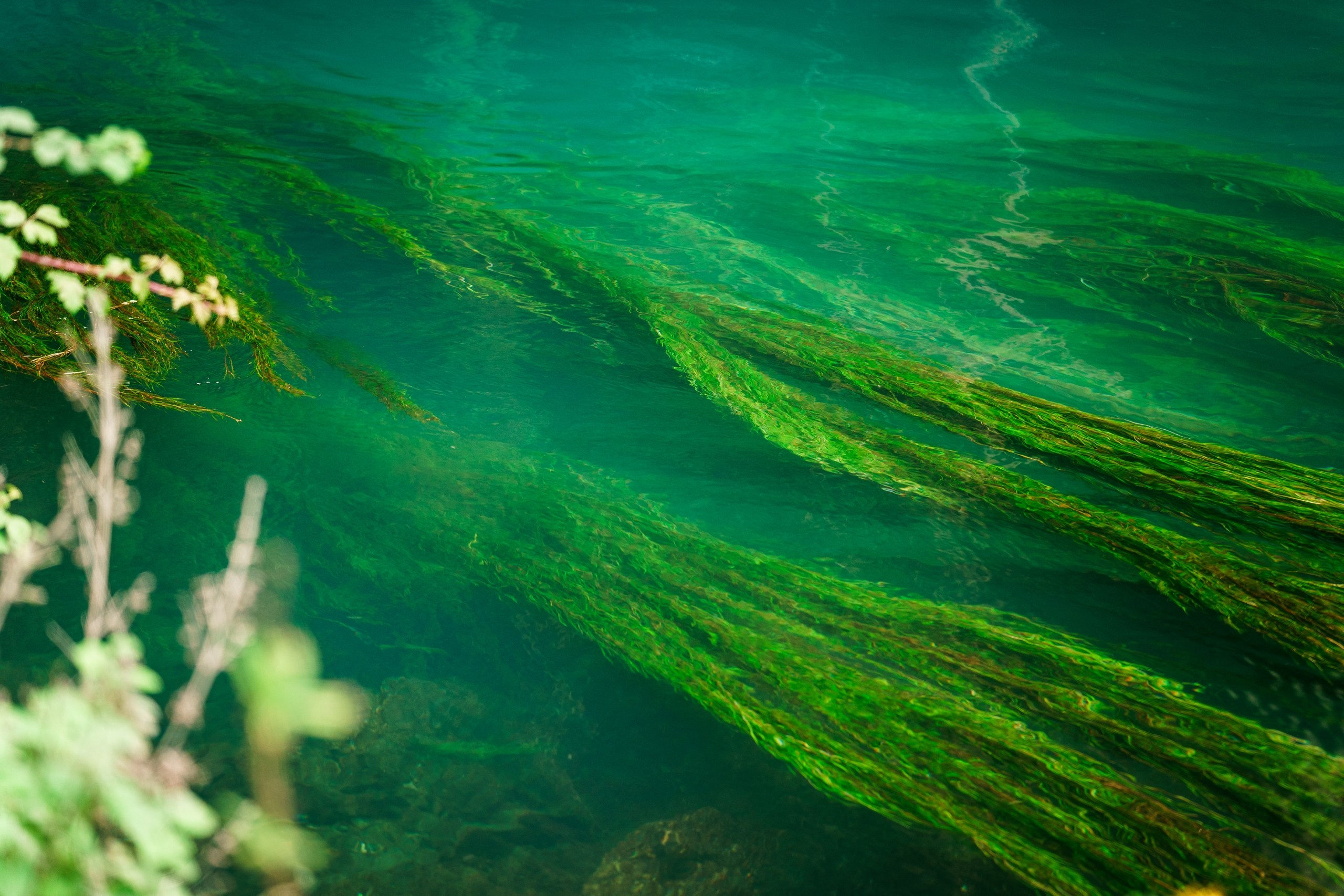 фототуры 2026