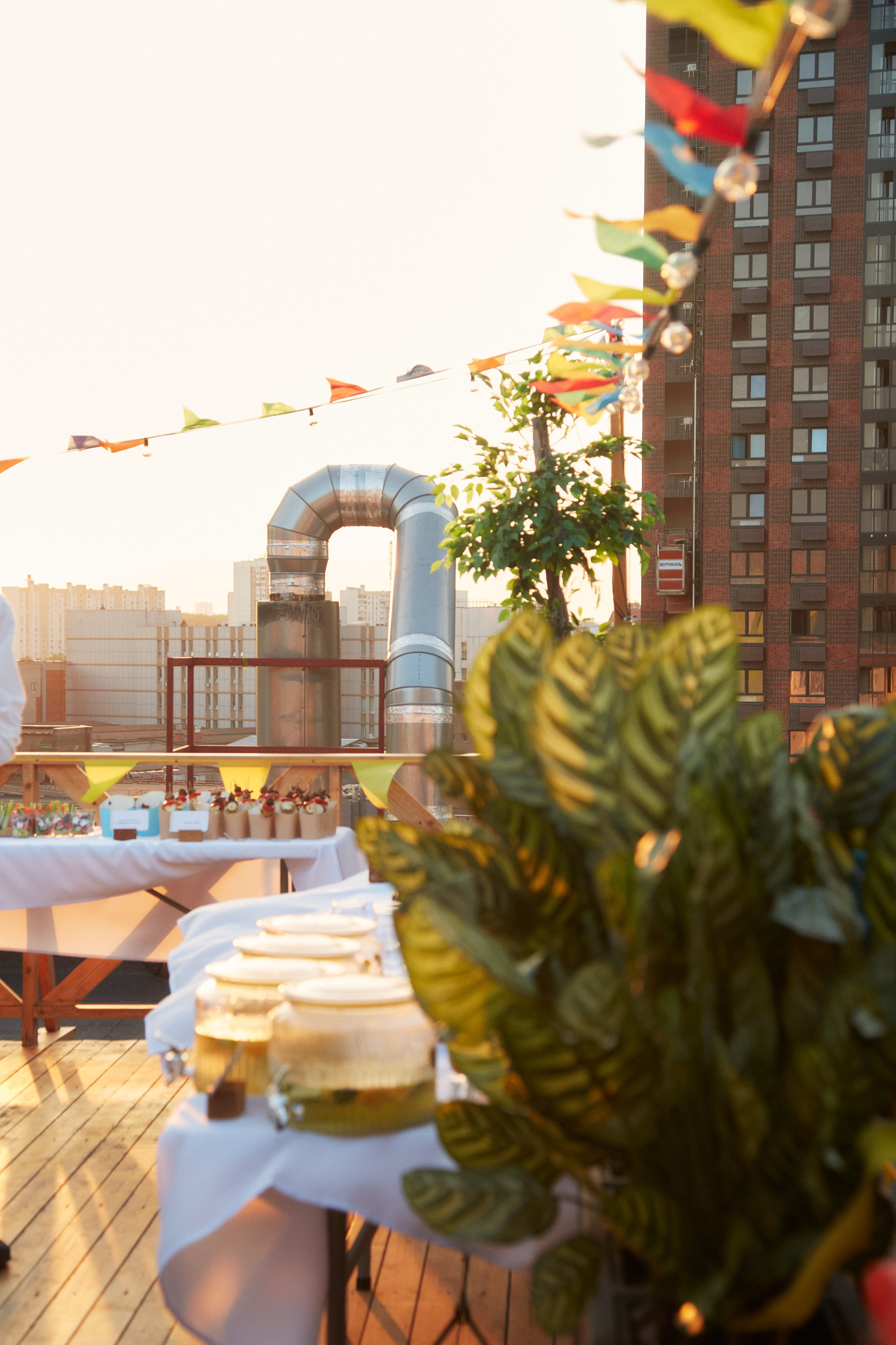 CORAL CLUB 25 years. Photographer Daria Ilkevich