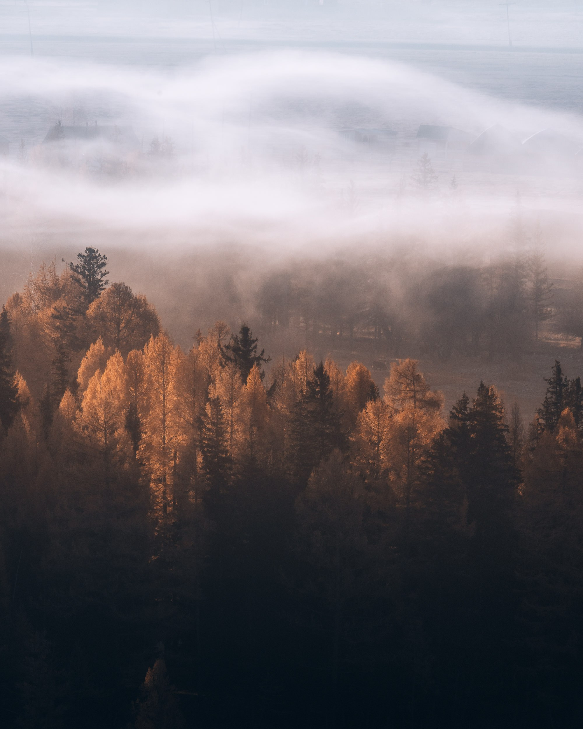Пейзаж • Landscape. Елена Ивановой • Профессиональный фотограф
