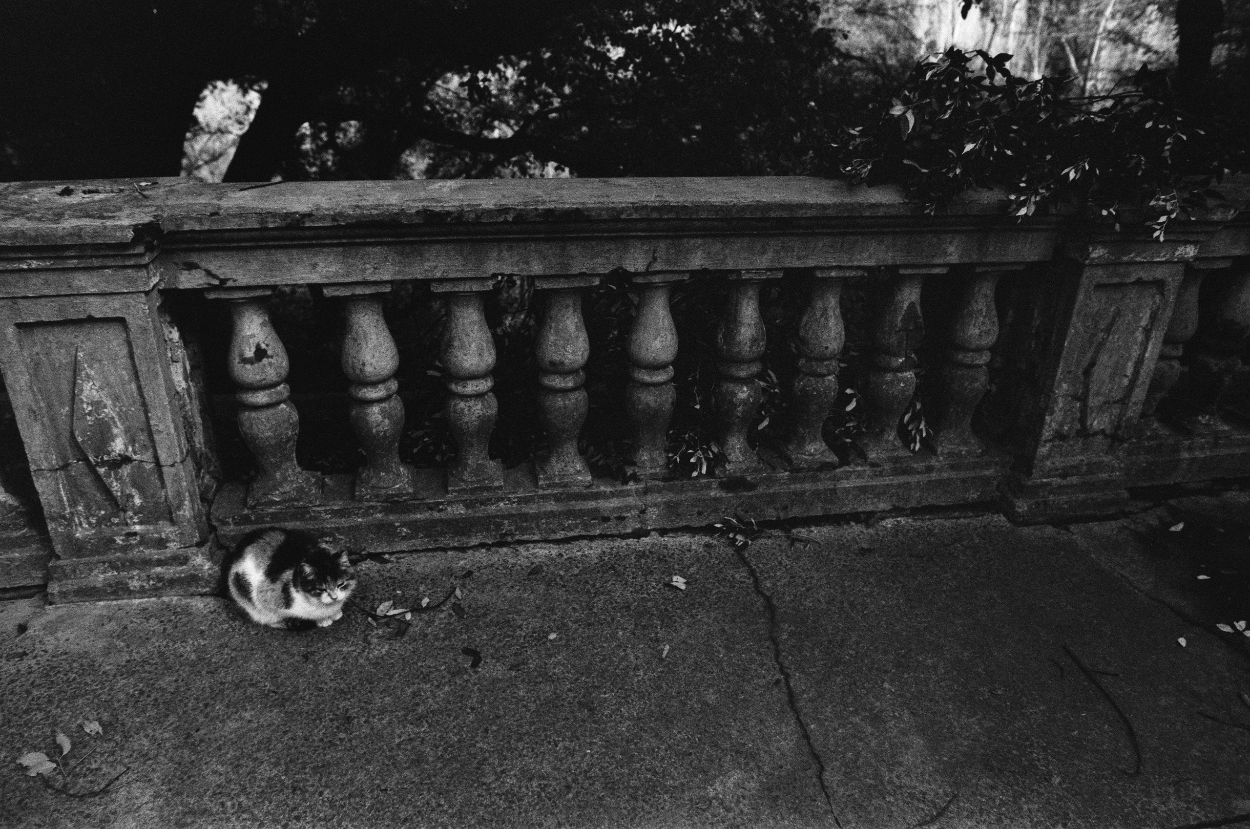 Oblomki chuvstv // ukraine, crimea II. EVER EXPOSED