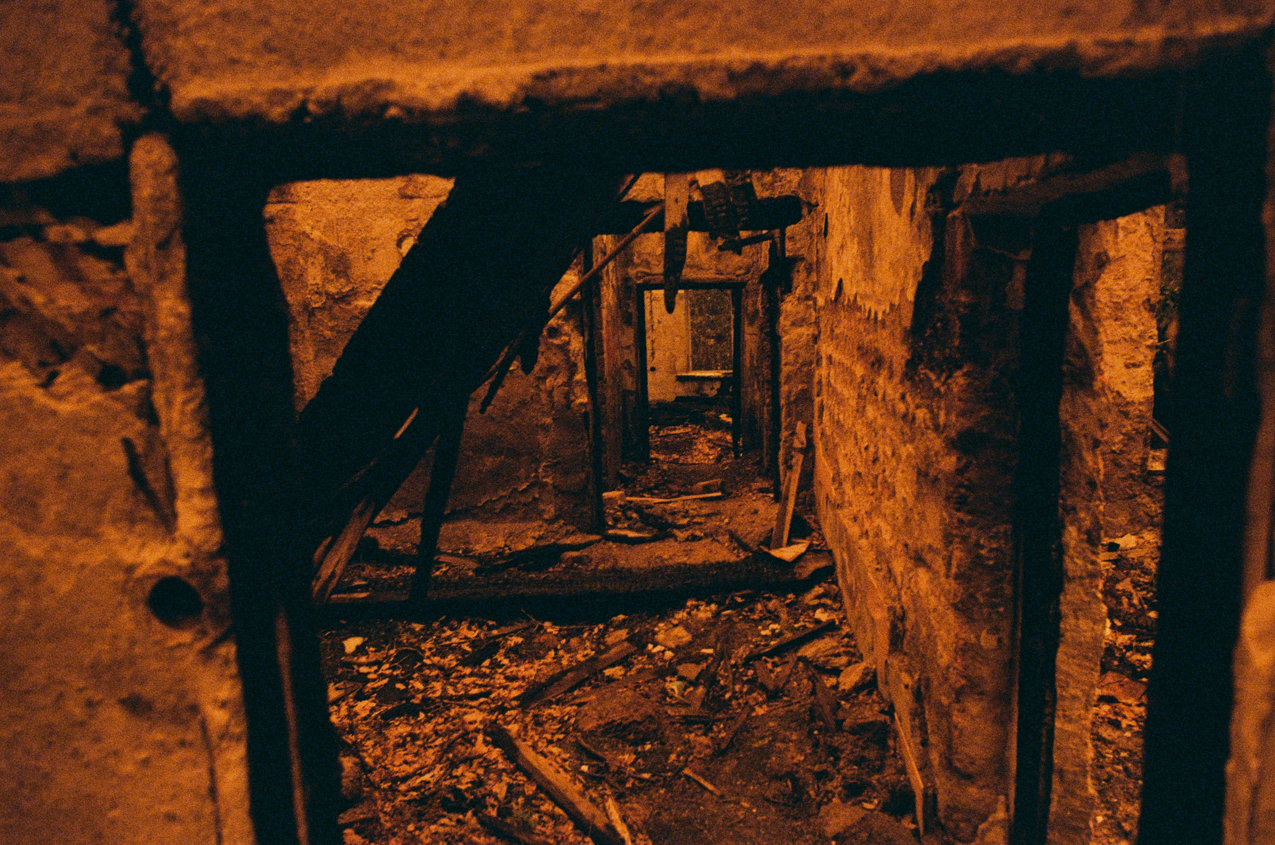 Sakura blues // ukraine, crimea VIII. EVER EXPOSED