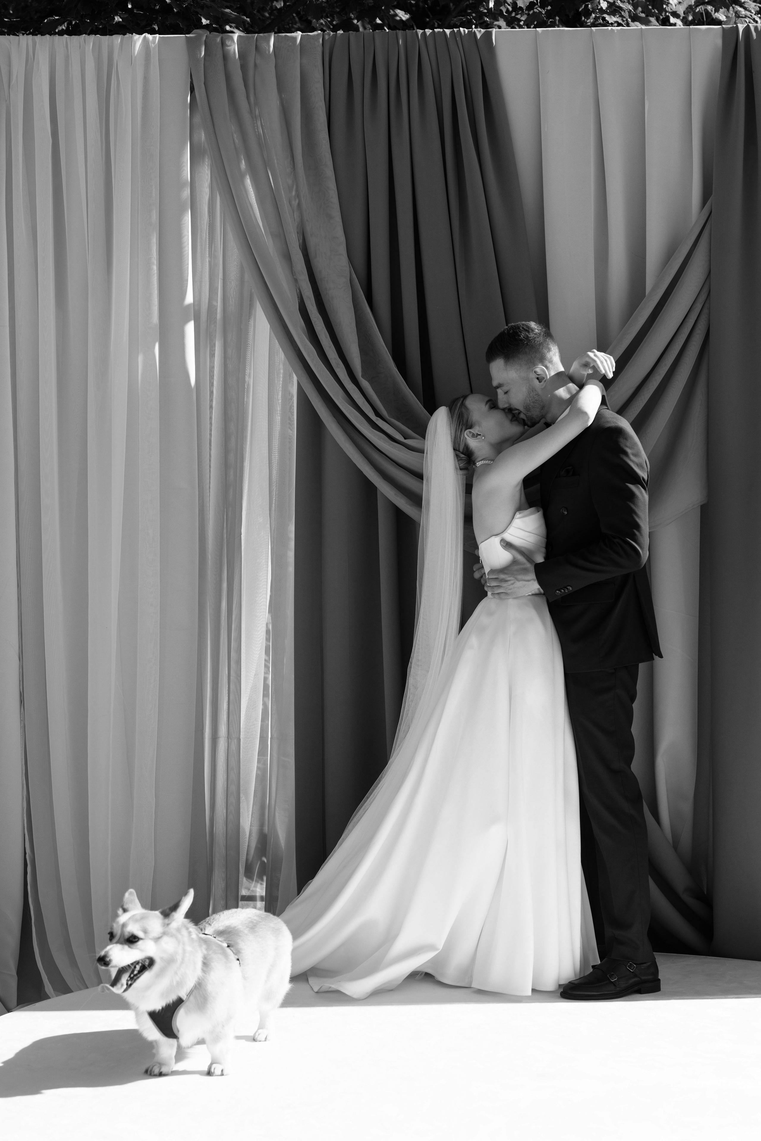 Четыре лапы. Свадебный фотограф Наташа Брифли