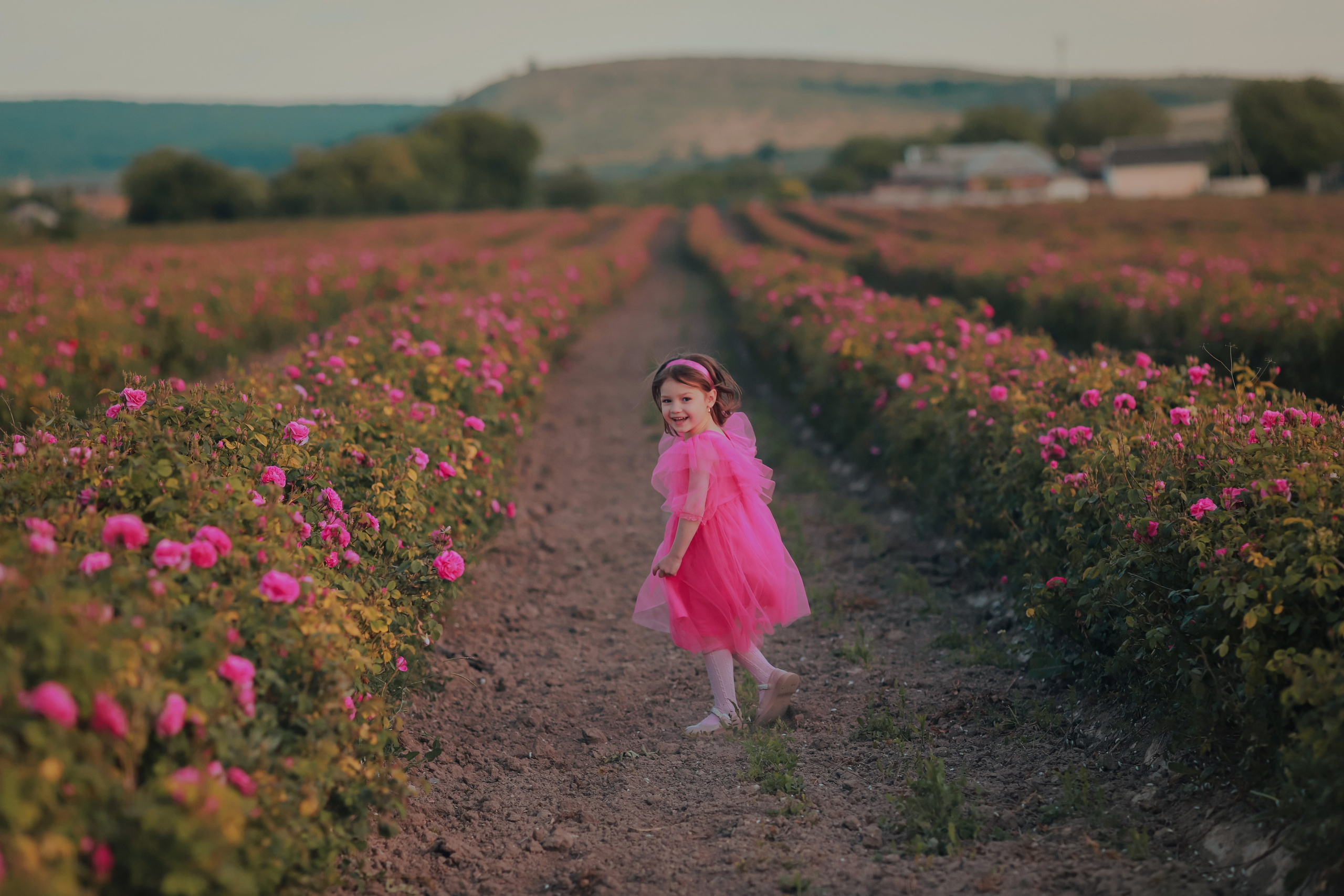 РОЗЫ. Семейный и детский фотограф в Крыму Екатерина Швец