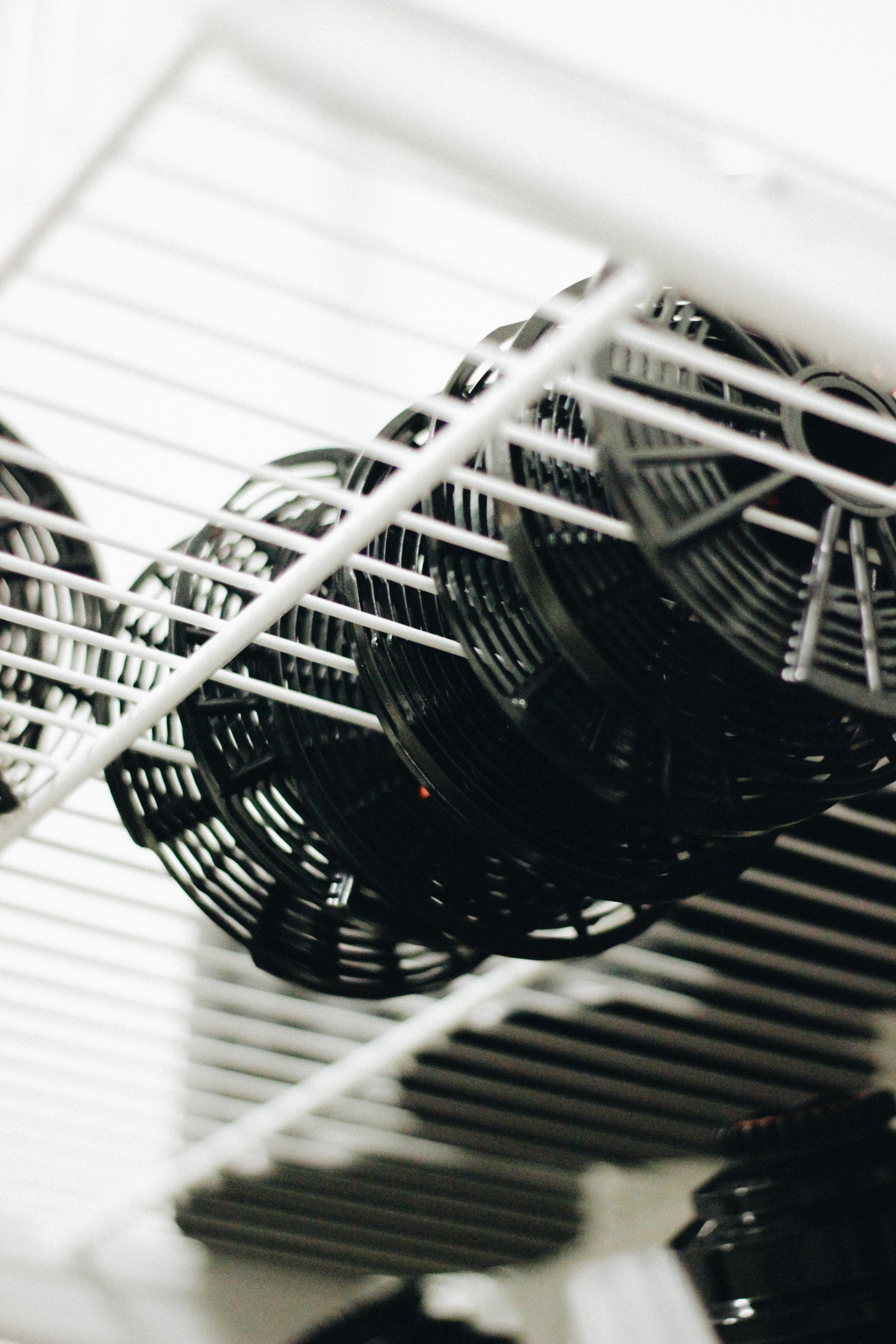 DPI film lab. Света Голобородько, фудфотограф в Санкт-Петербурге